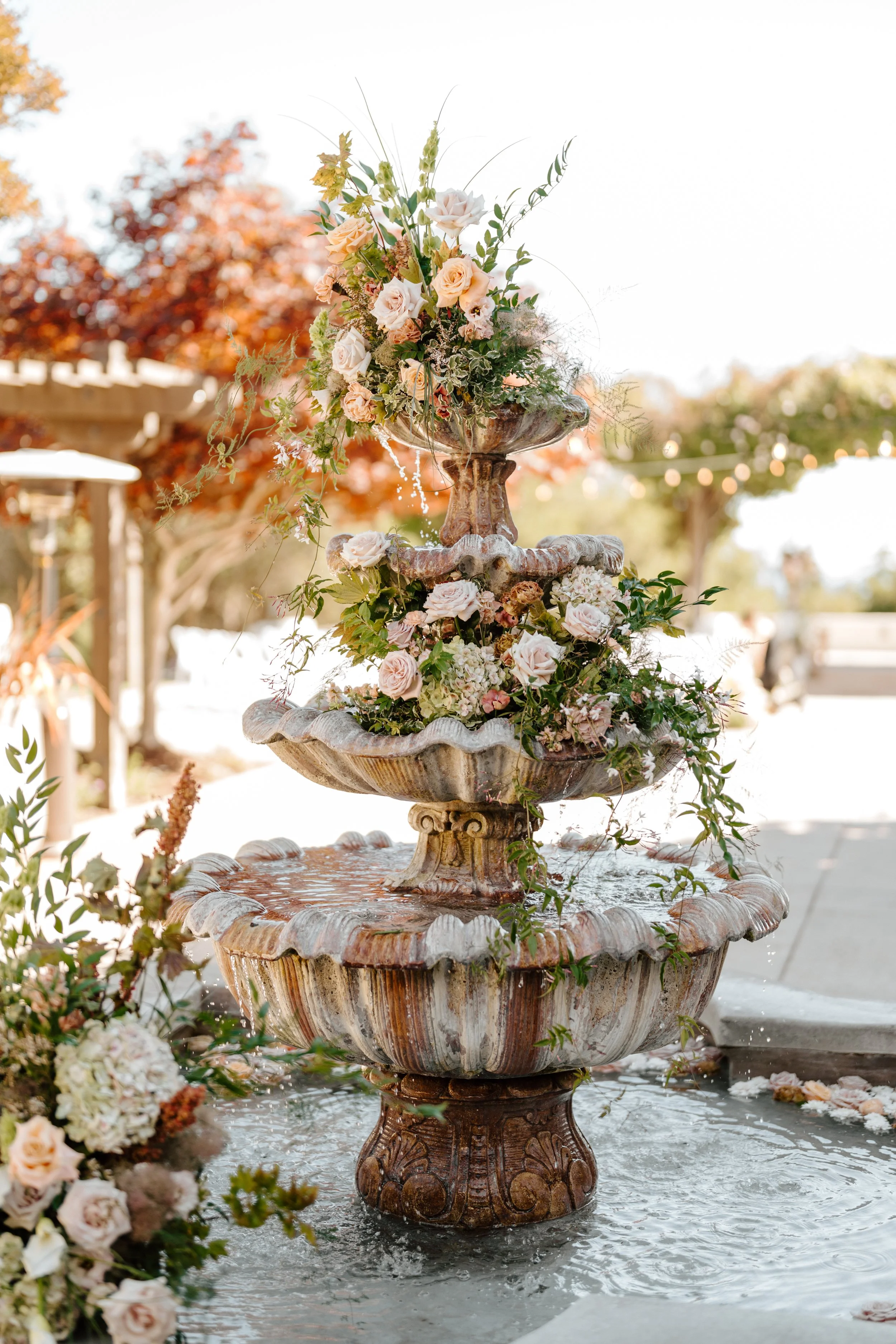 Nicole_Jackson_Wedding_MegsMarvels_2025__CeremonyDetails_0203.jpg