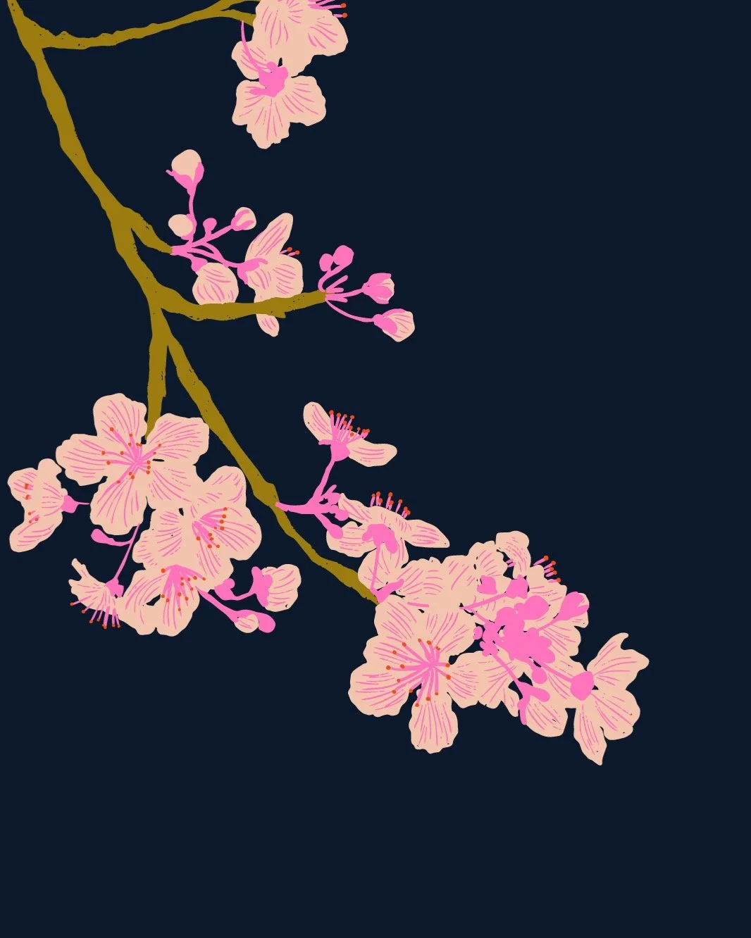 🌸✨Moment of appreciation for cherry blossoms and chrysanthemums.