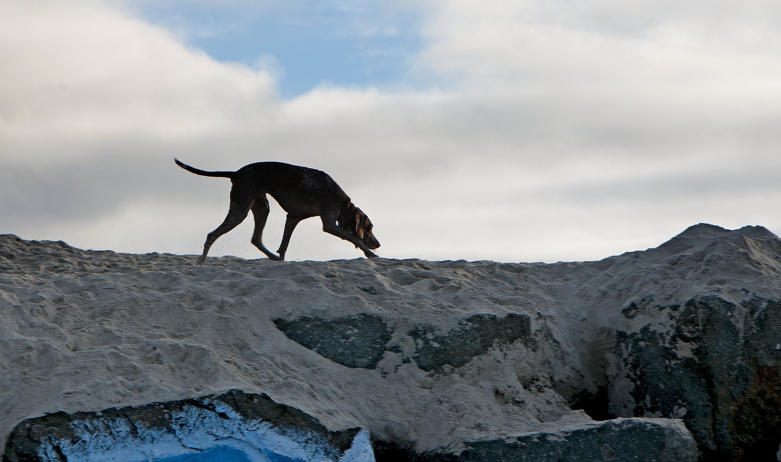 _DSC7434.jpg