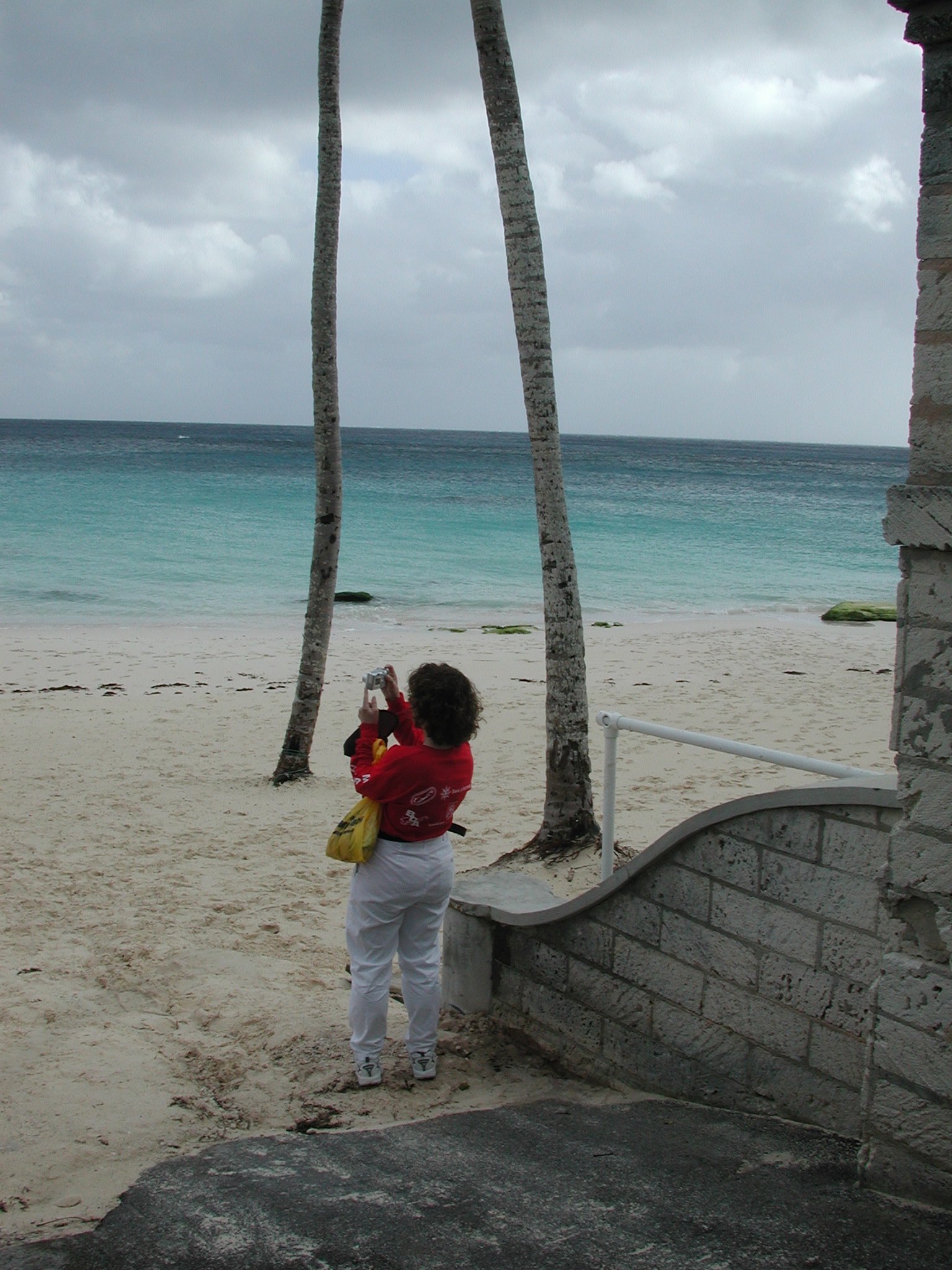 Dscn5140.jpg