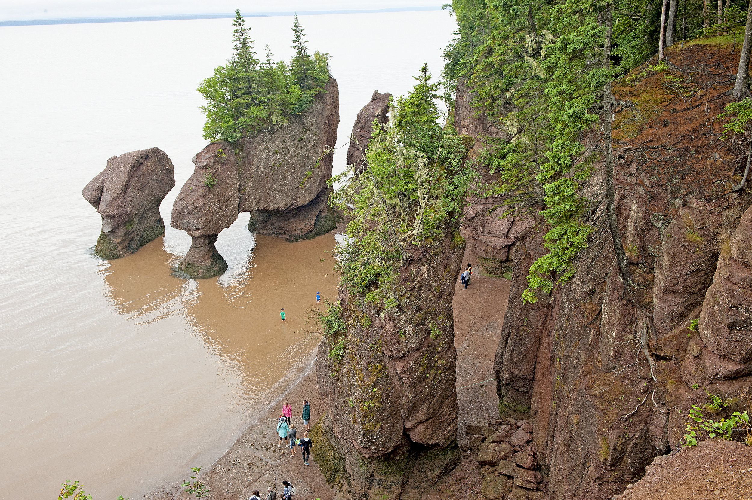 _DSC1173.jpg