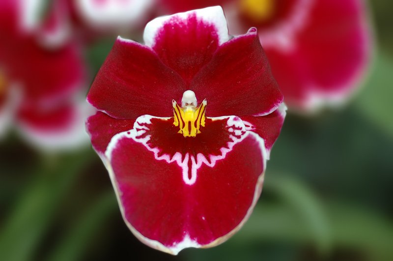 DSC_2605.jpg