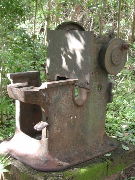 Dscn5134.jpg