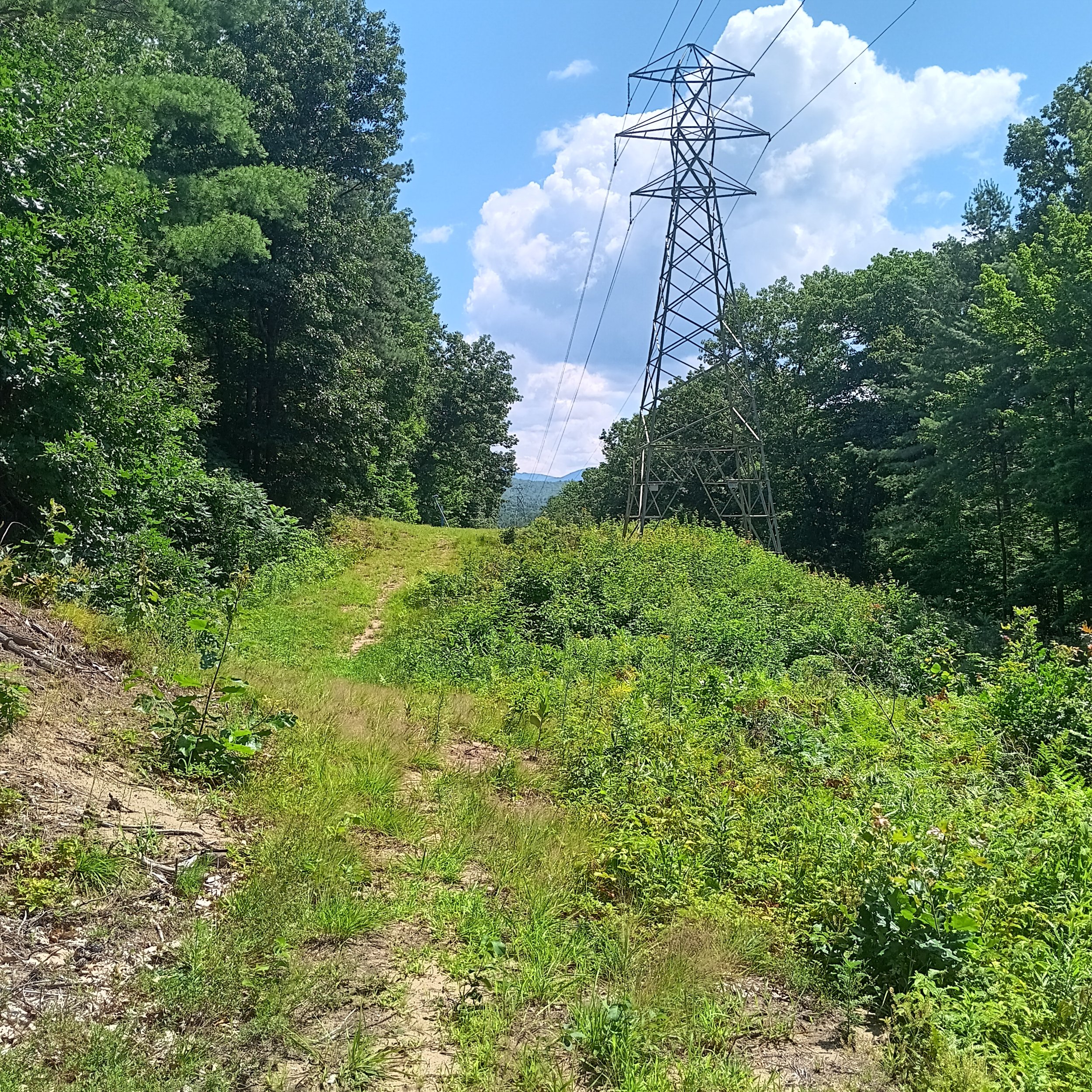 Essex Junction, Vermont