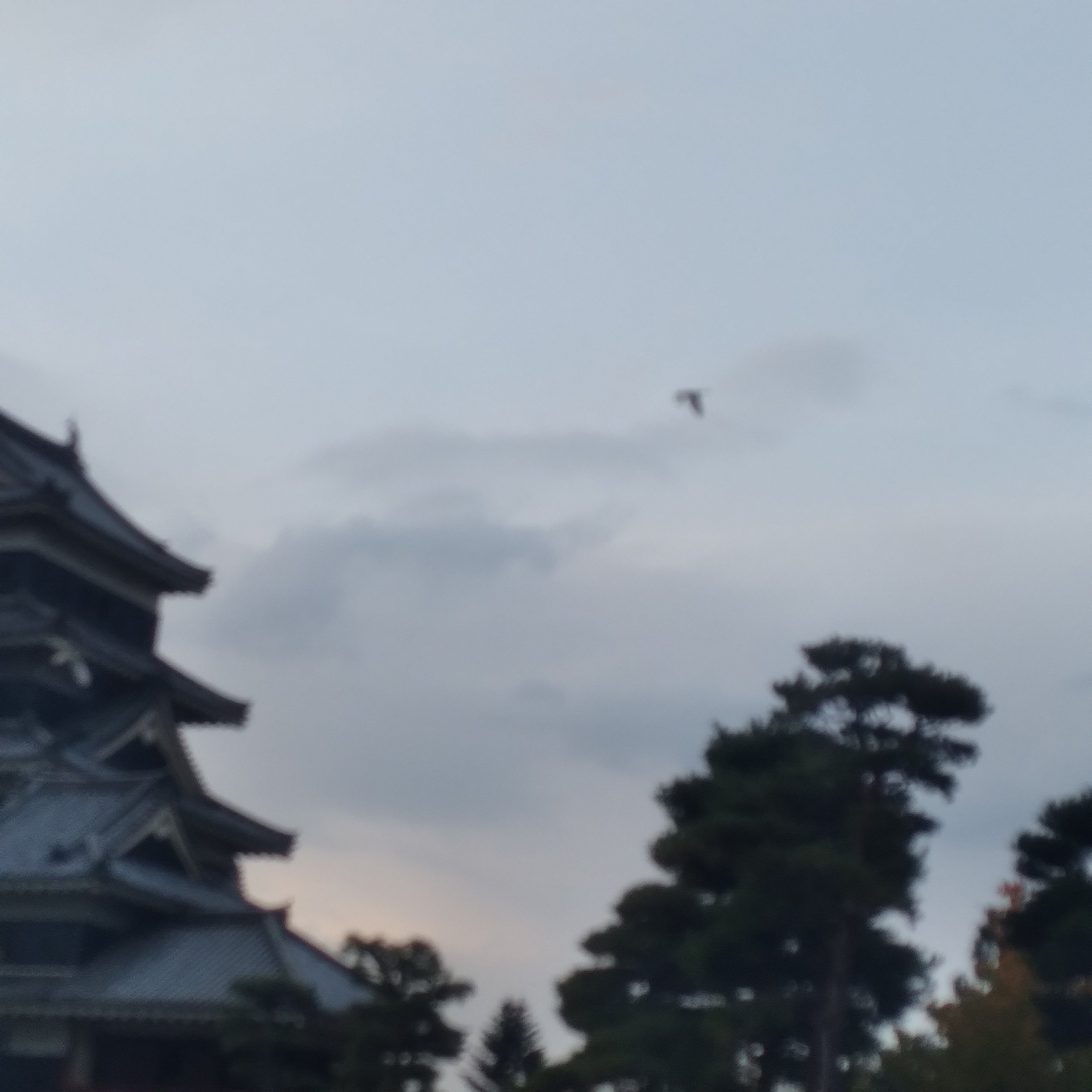 松本城 (Matsumoto Castle)
