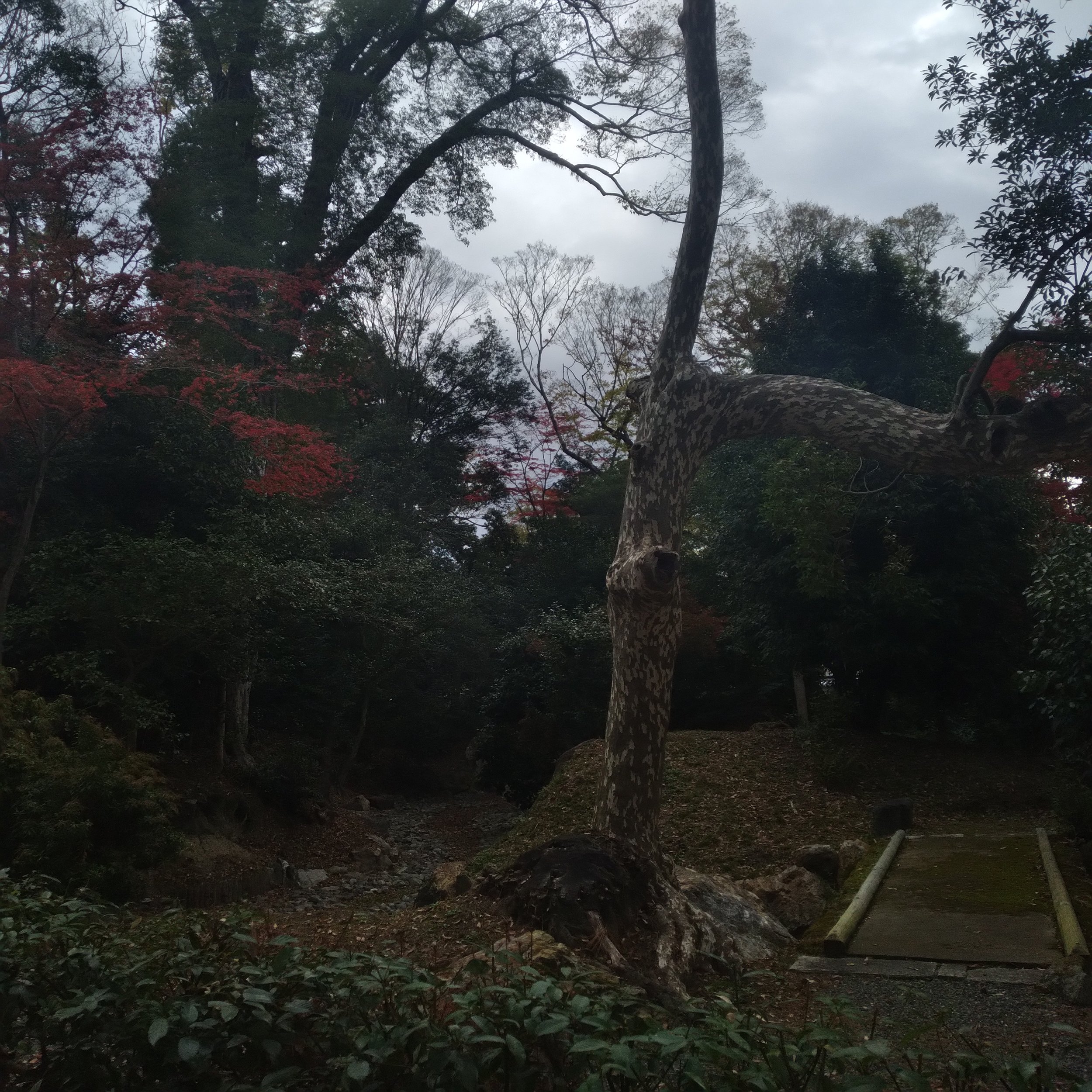 京都御所 (Kyoto Imperial Palace)