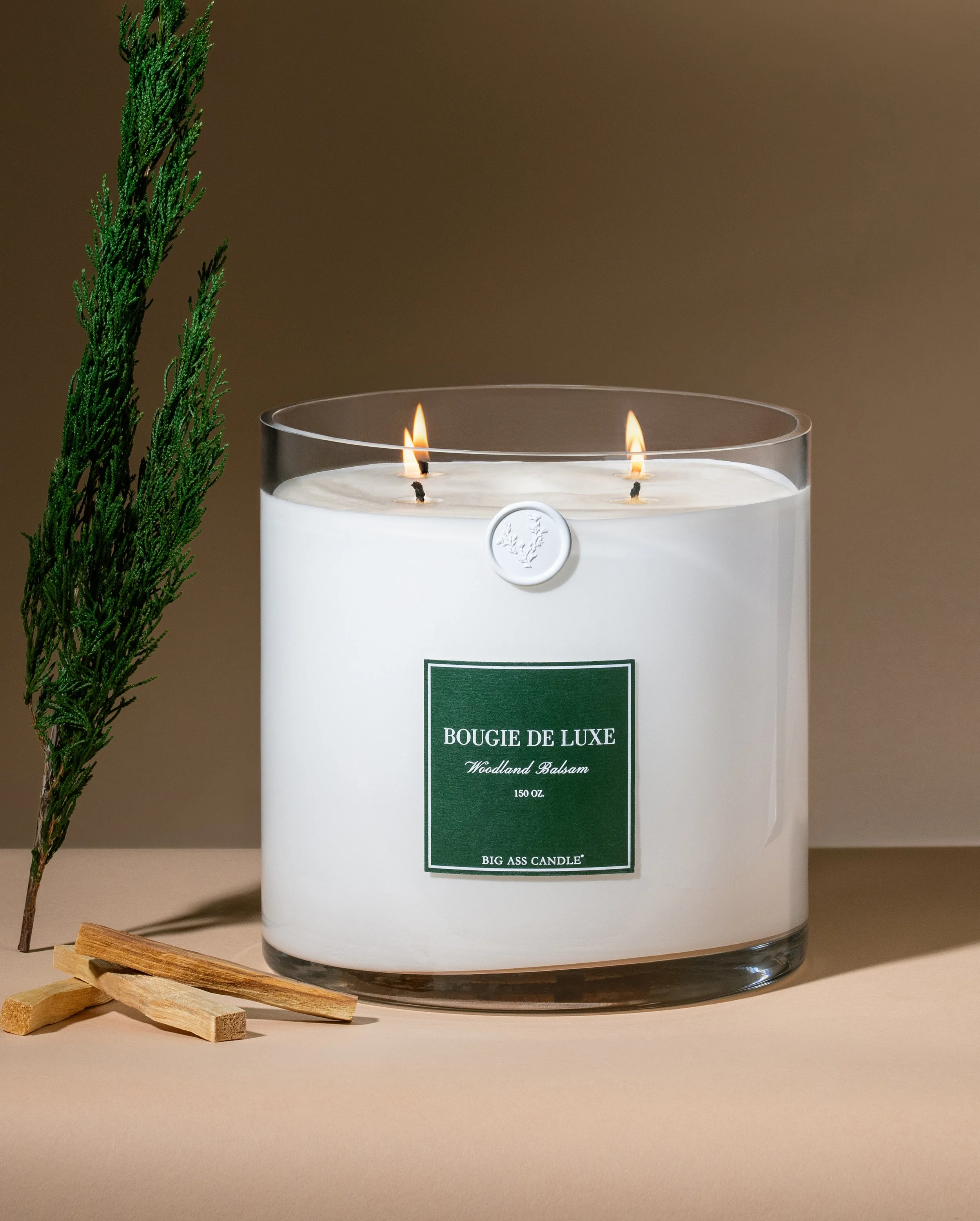 Big.Ass.Luxury.Candles.08.07.252849 2x.jpg