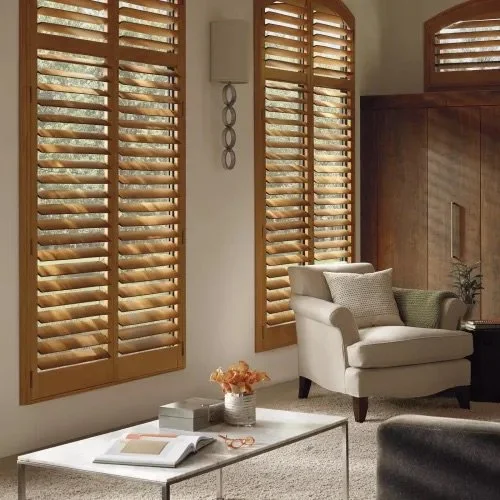 Living room with wooden plantation shutters, a white armchair with pillows, a coffee table with a flower vase and book, and a side table with a plant.