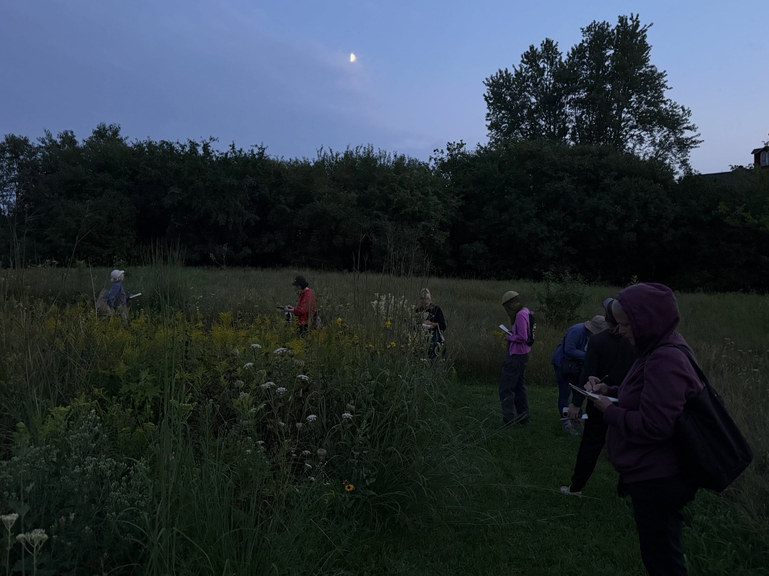 Pure magic as the early evening transitioned to night for our Nature Journaling class at the UW-Milwaukee Waukesha Field Center. Discoveries of stream life, ancient oaks, 15 fungi species, and bats 🦇! Everyone loved idea of night nature journaling s