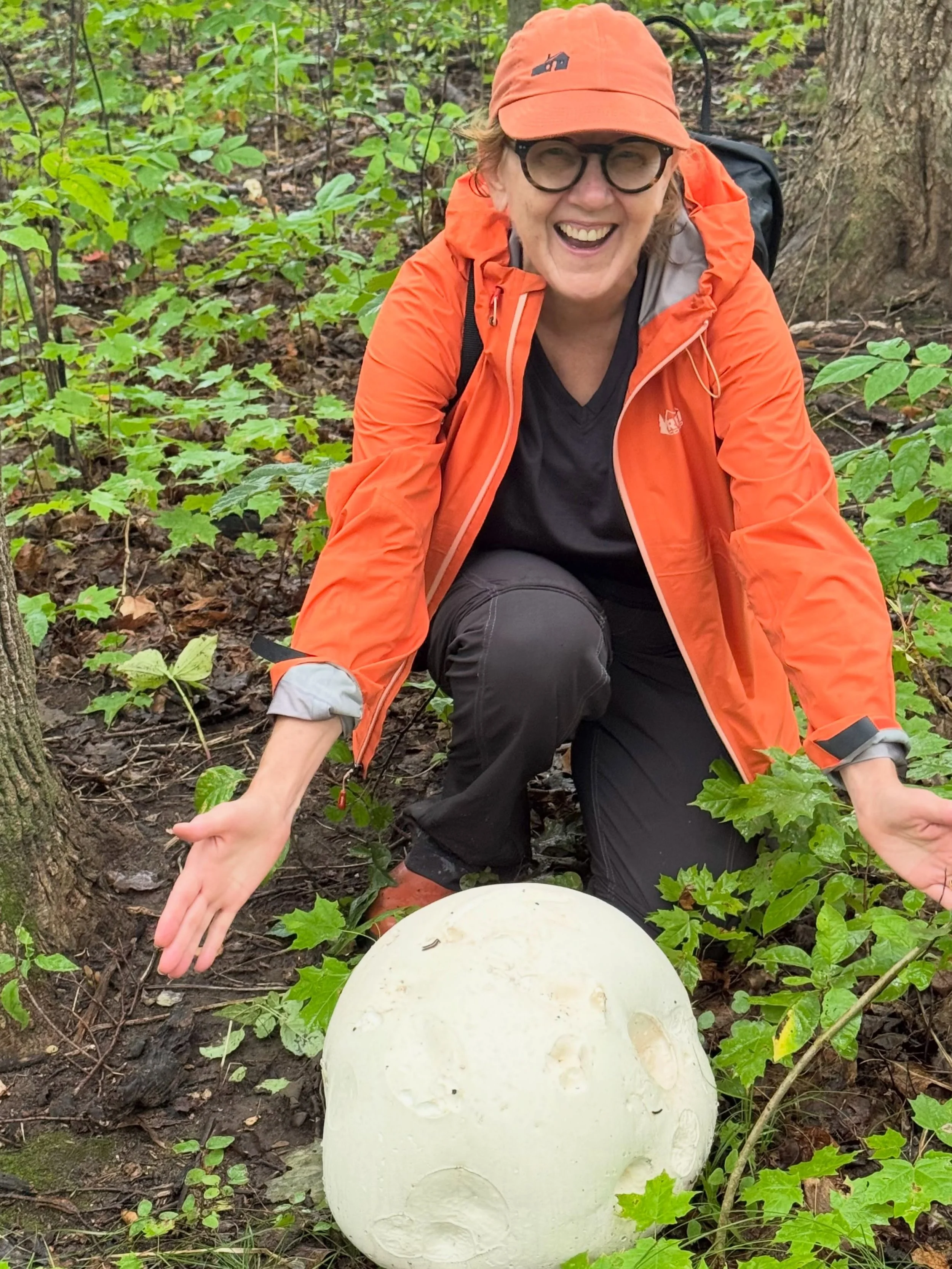 Expect the unexpected in the woods this time of year! Puffball mushrooms look like a sculpture garden.
