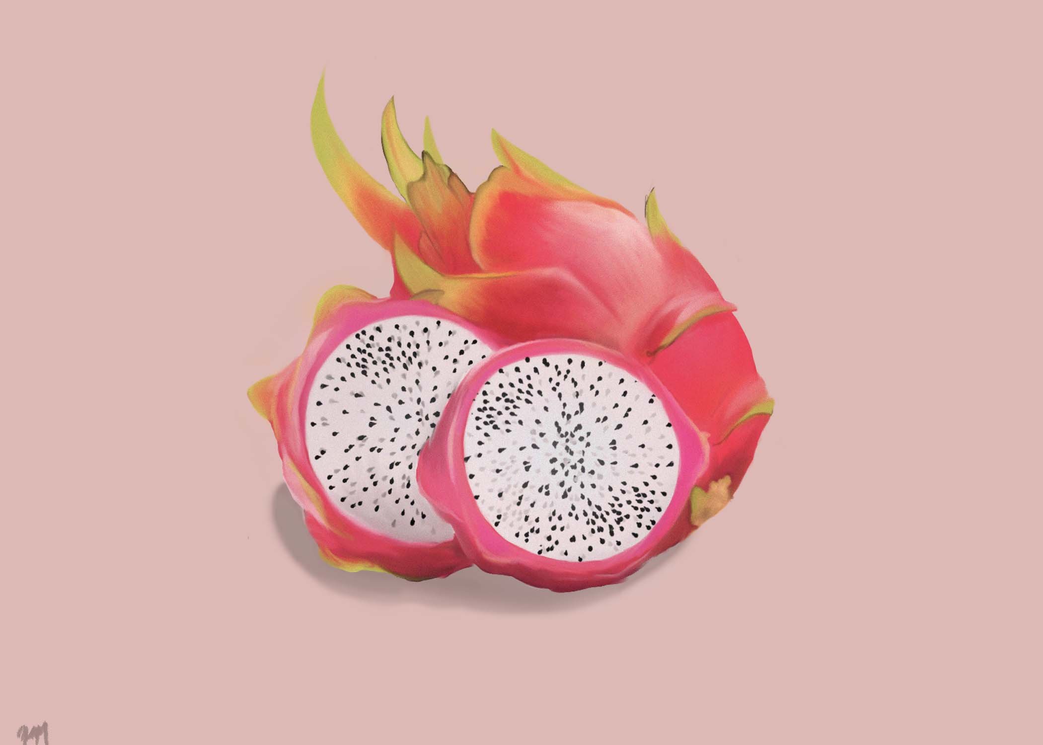 dragonfruit updated file small.jpg