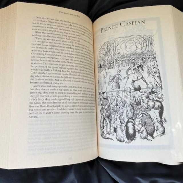 Narnia inside.jpg
