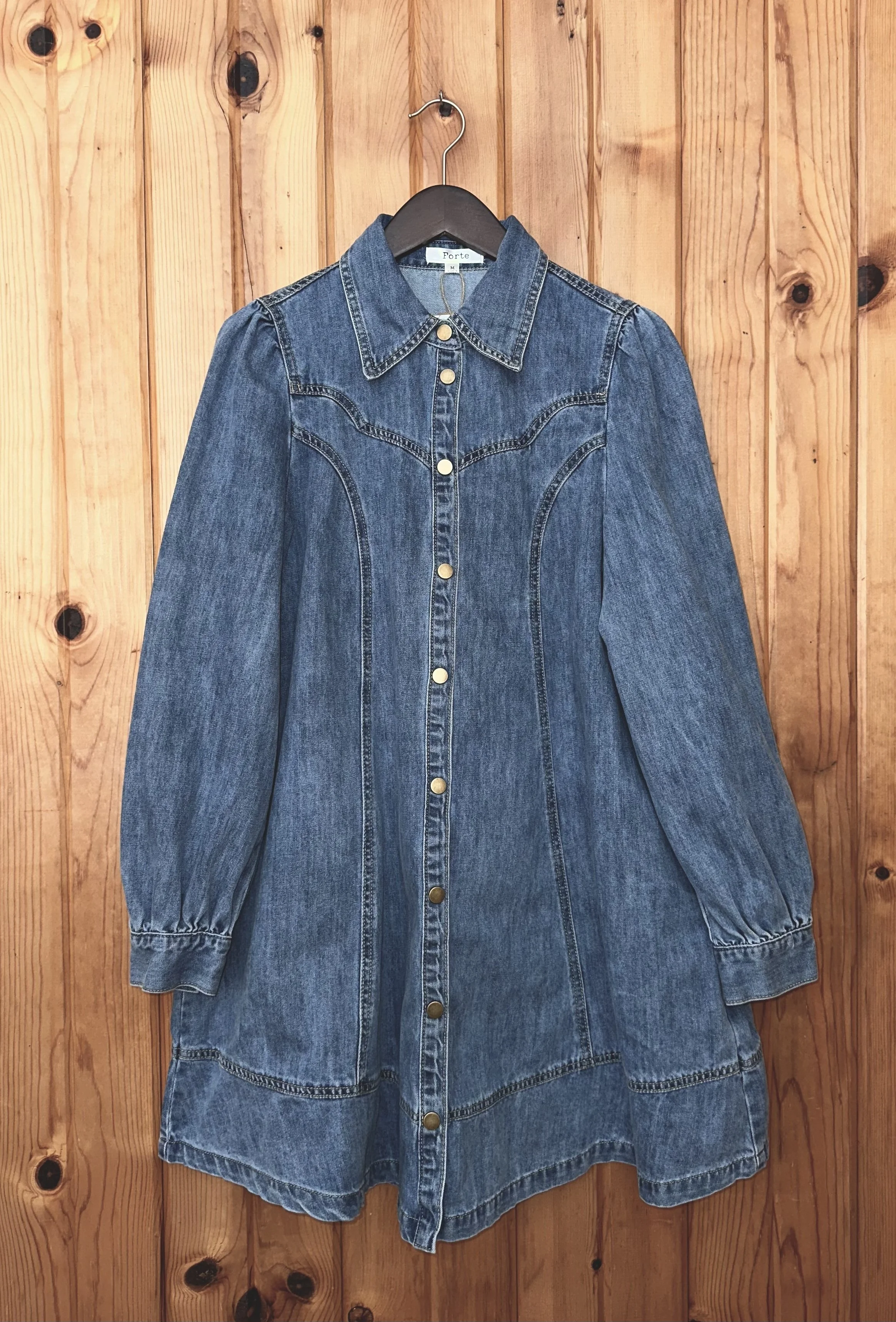 Western Denim Dress