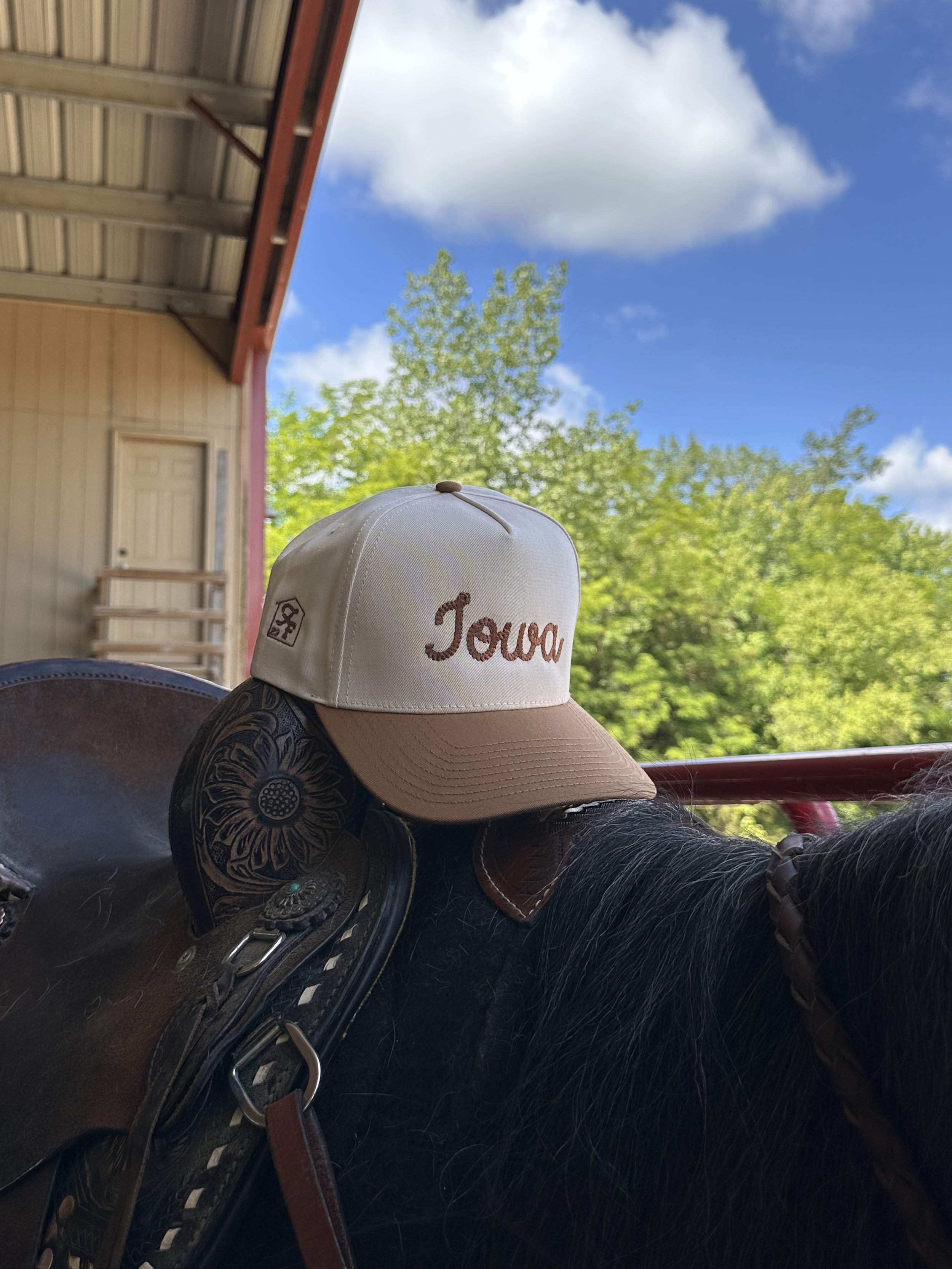IowaHatHorseHorn.jpeg