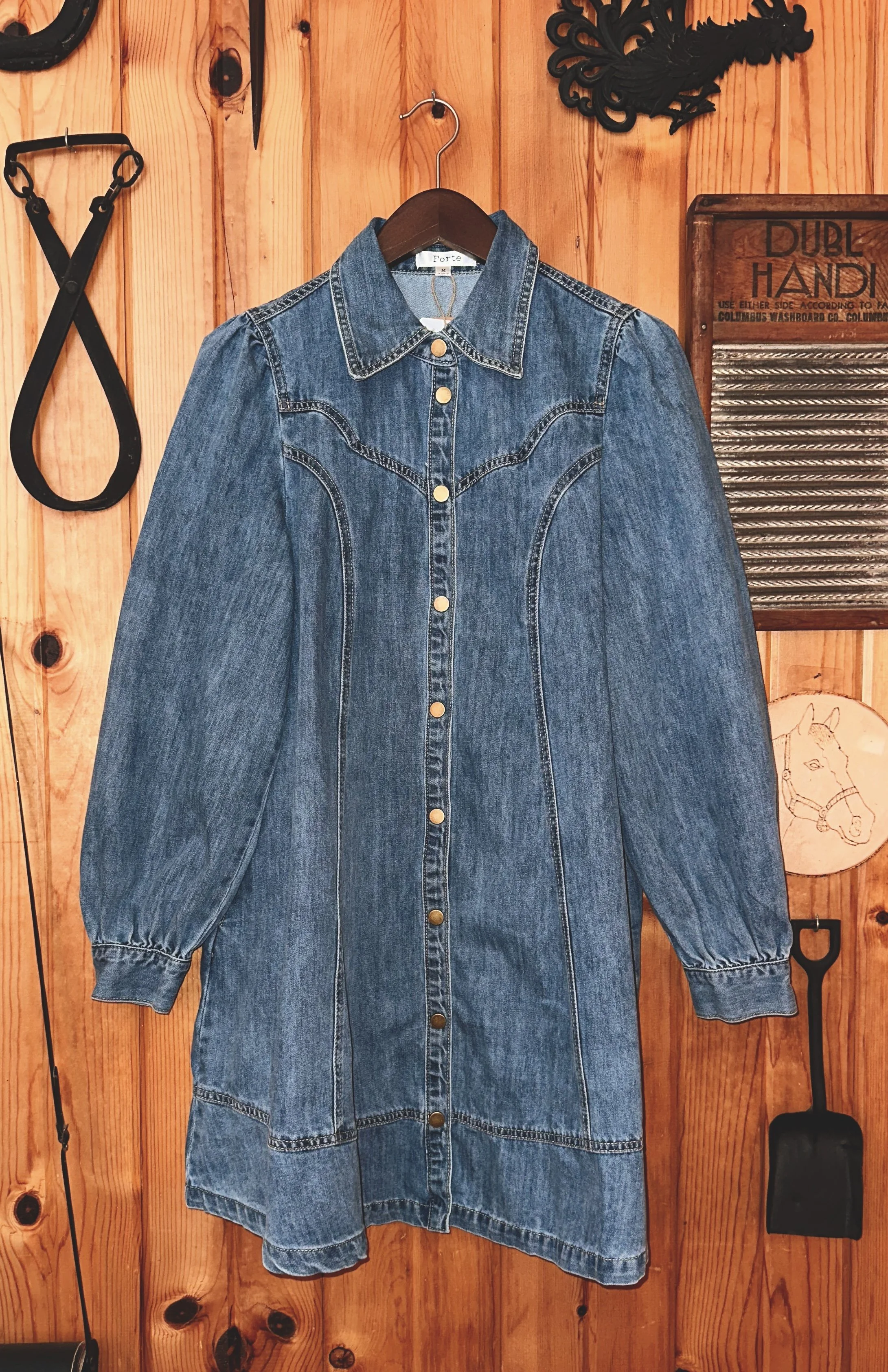 Western Denim Dress