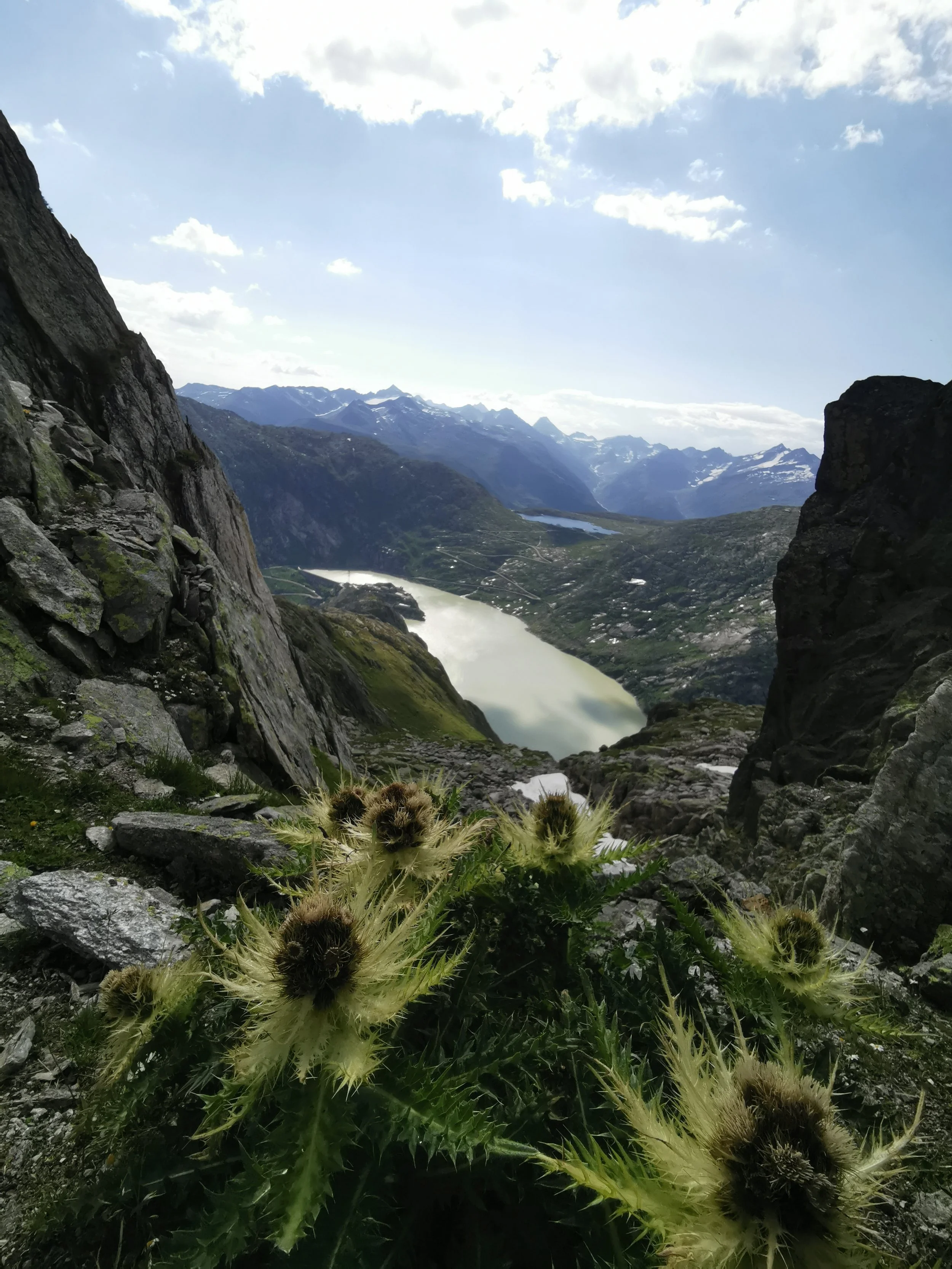 Hematite Rose with Quartz from Uri, Switzerland