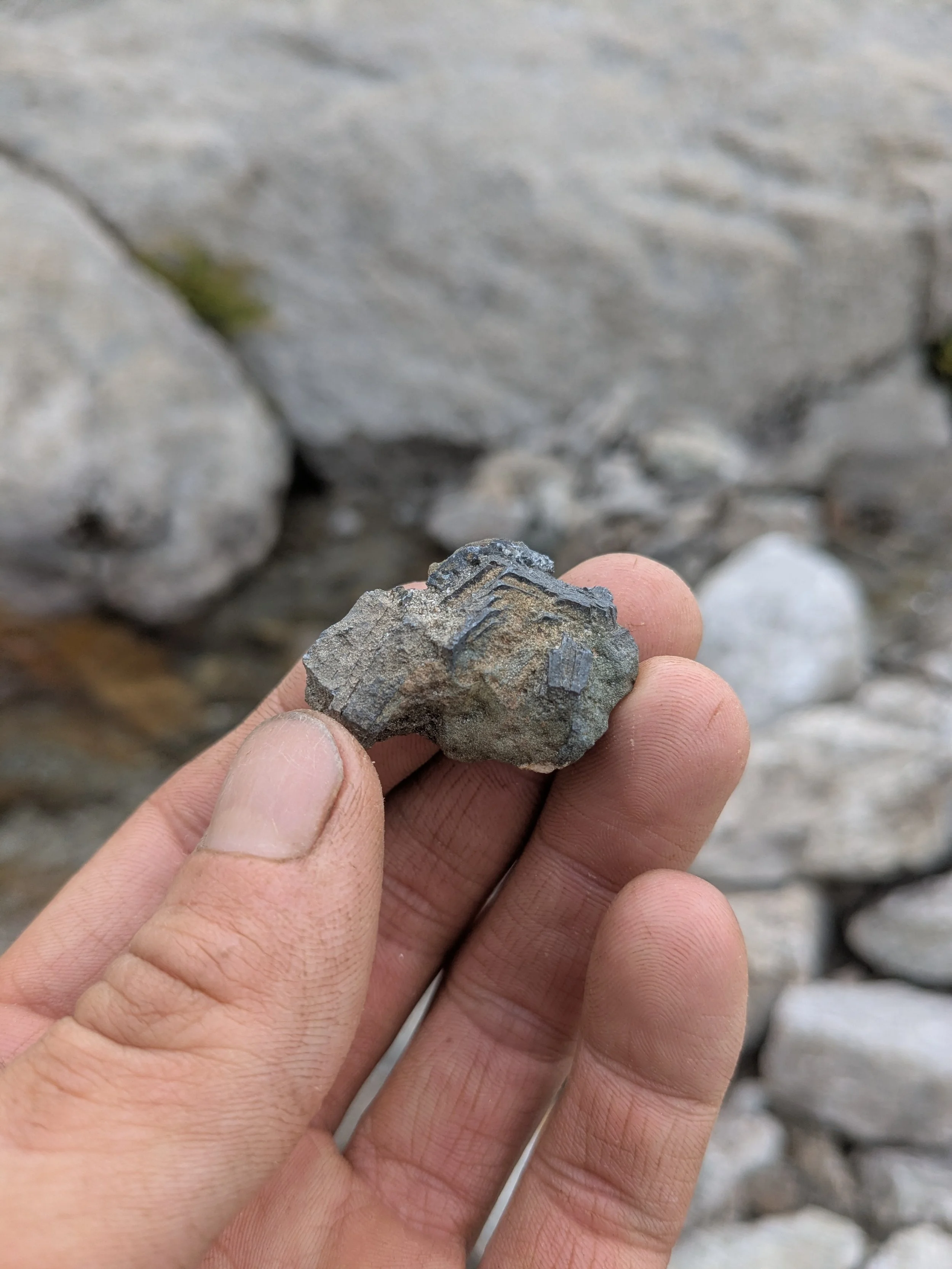 Hematite Rose with Chlorite  from Uri, Switzerland