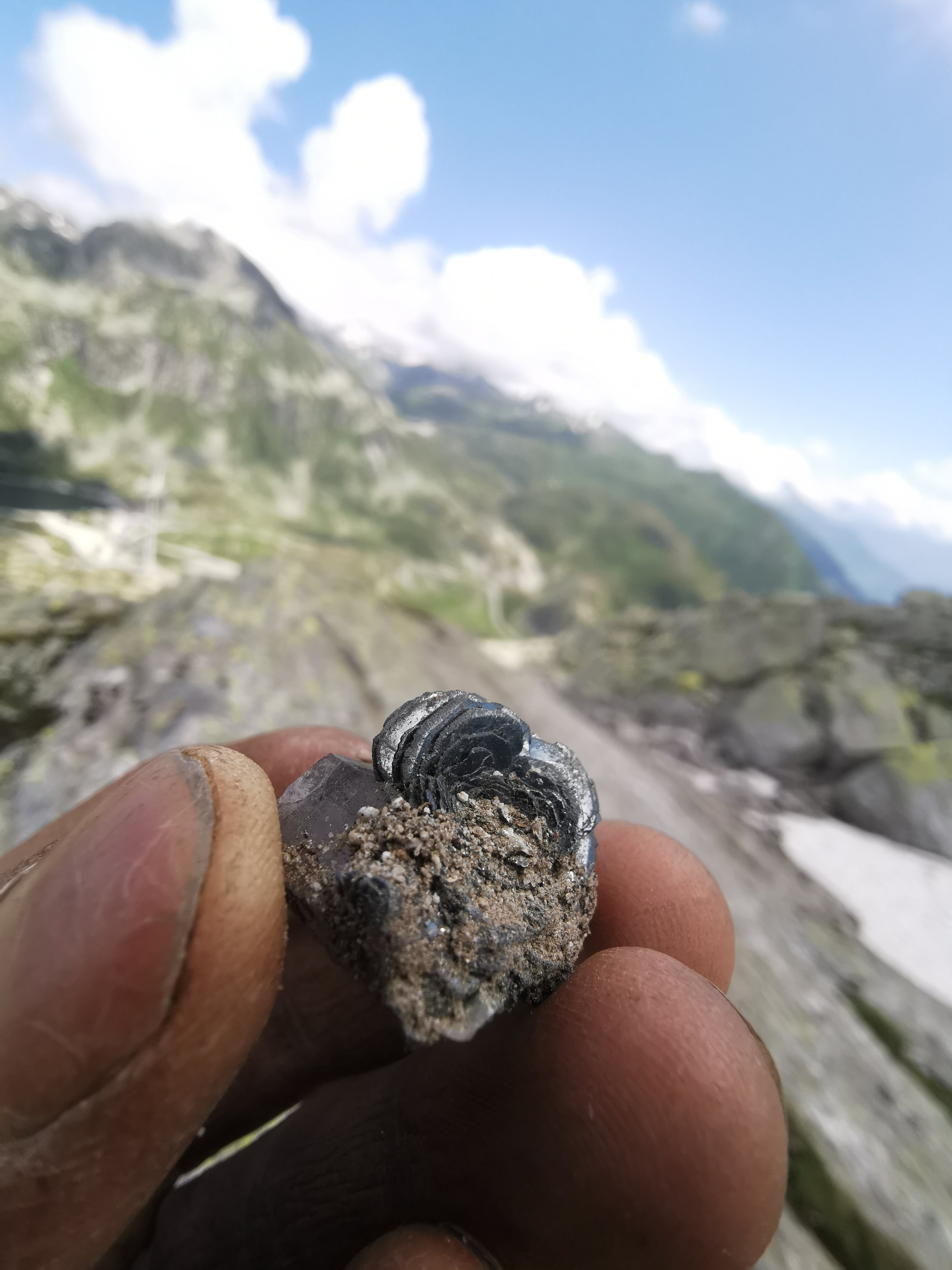 Hematite Rose with Quartz from Uri, Switzerland