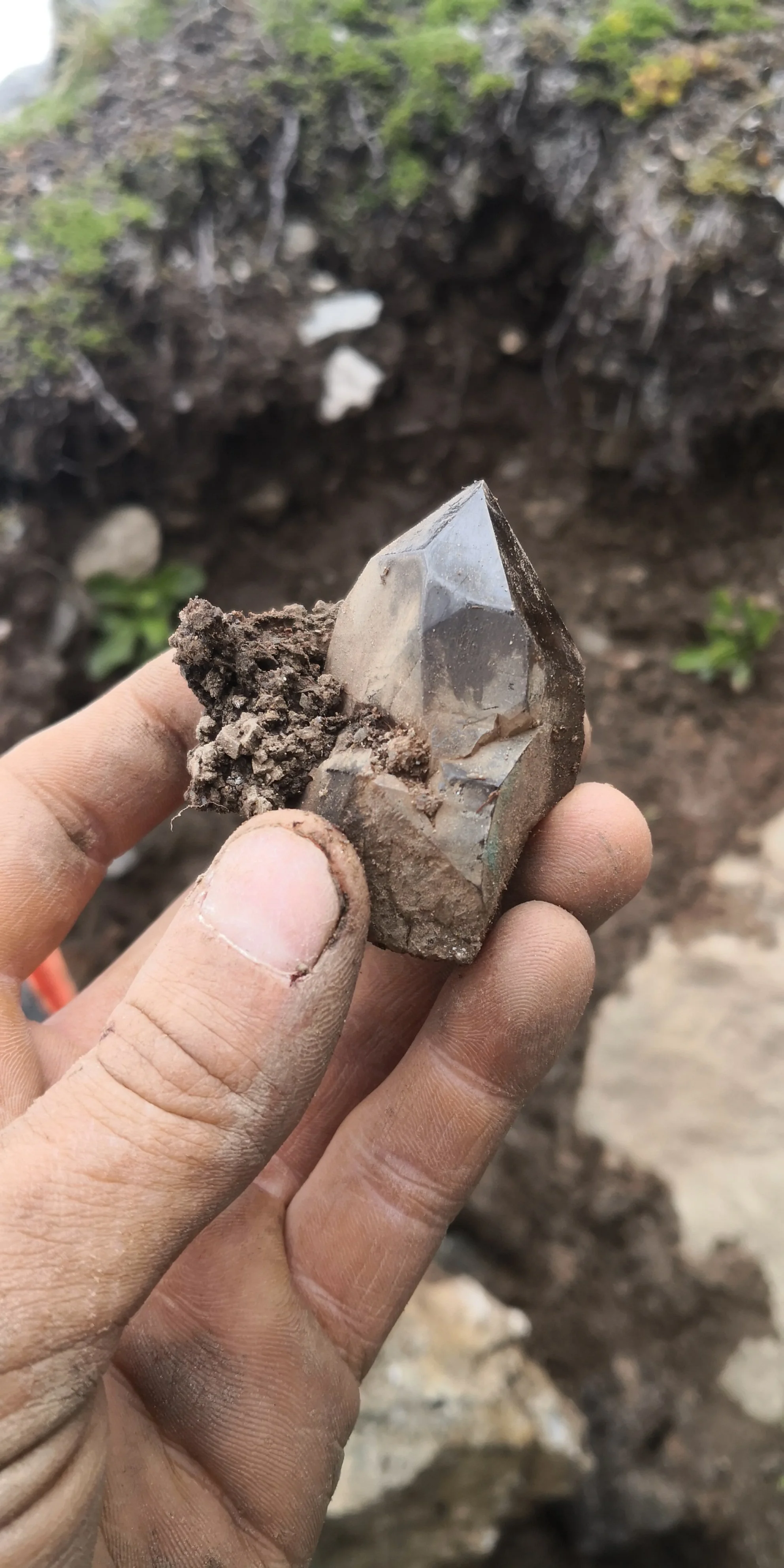 Smoky Quartz With Titanite and Adularia from Uri, Switzerland
