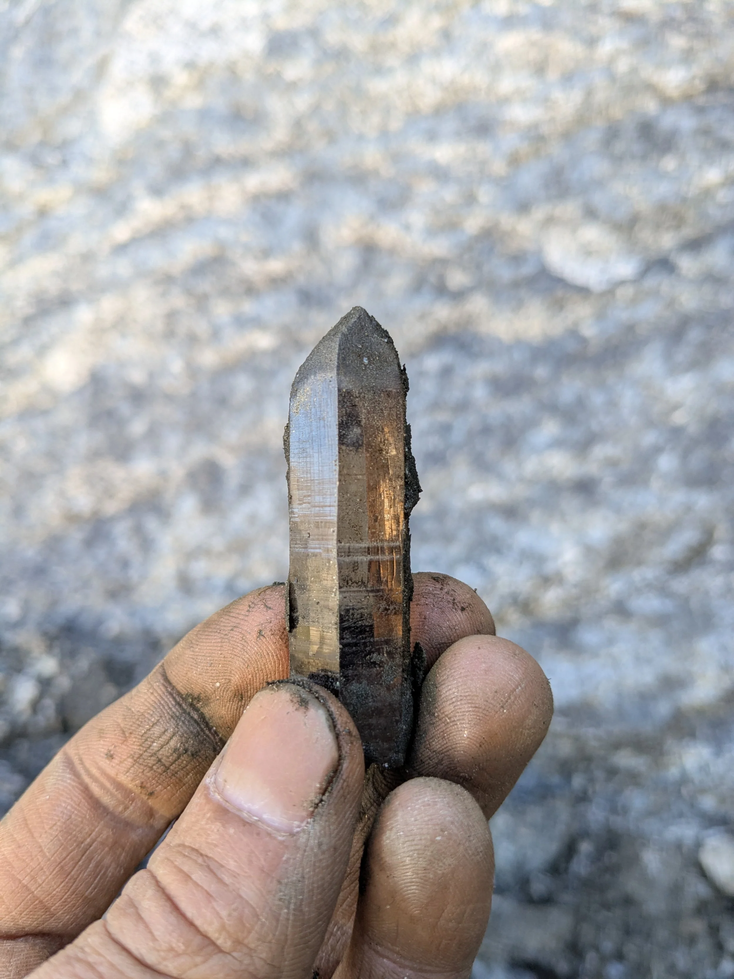 Smoky Quartz with Chlorite Uri, Switzerland