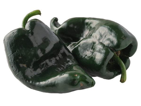 Chile Poblano Pasilla Fresco / Fresh 10 lb