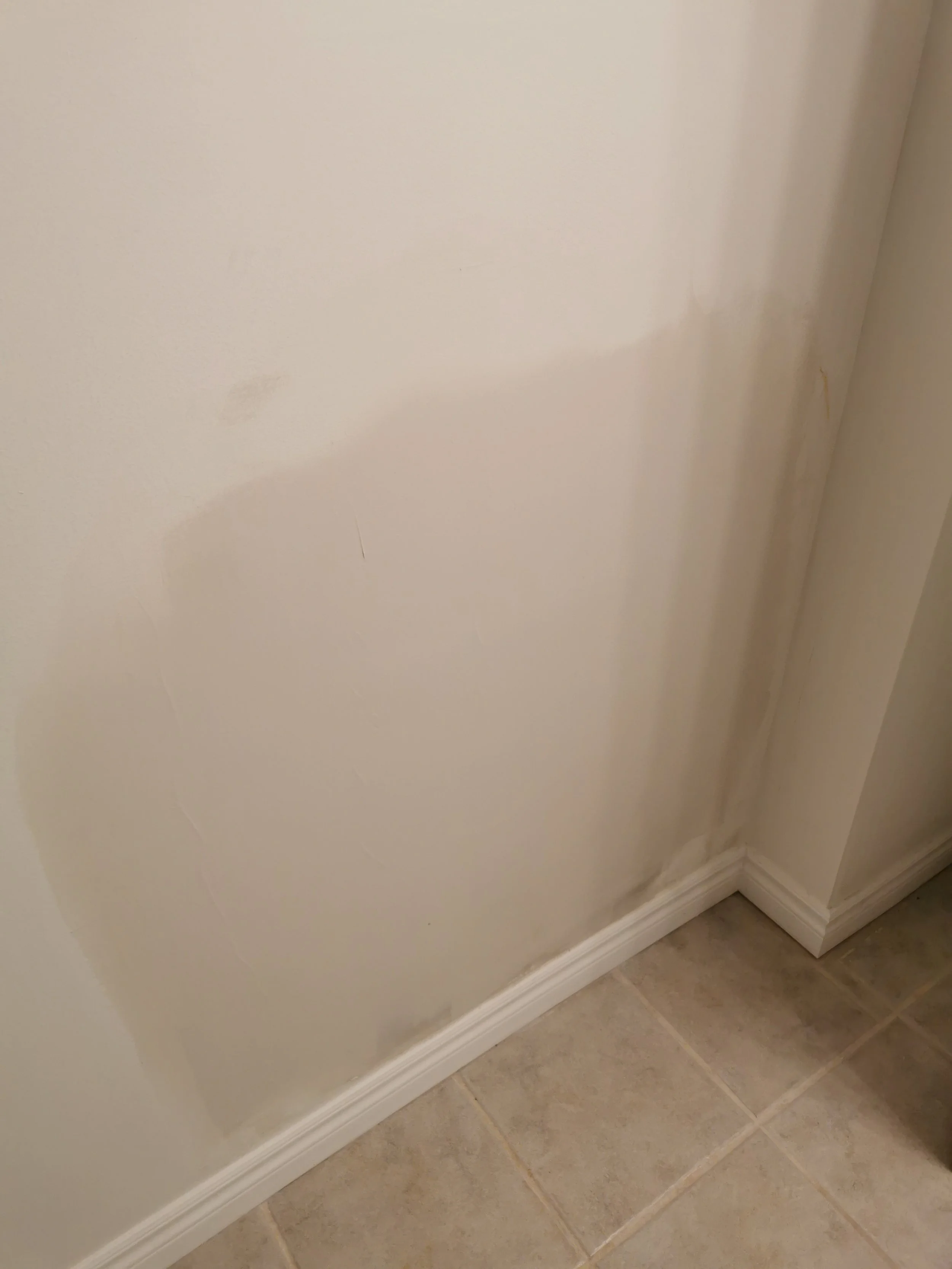 IMG_20220727_203223.jpg