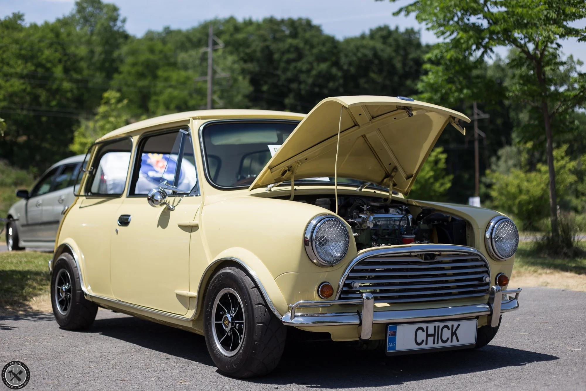 Newsletter &amp; End of Summer&nbsp;Specials