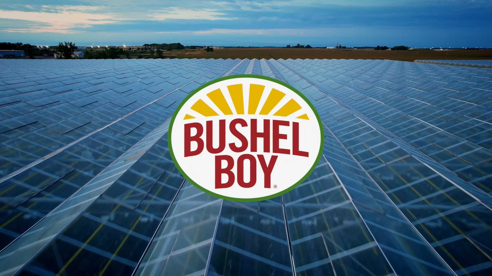 bushel_boy_branding.jpg