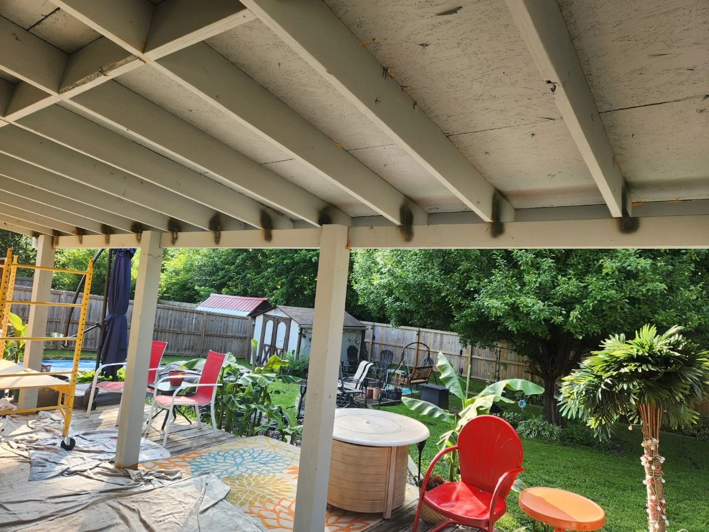 2025-06-22 2025Dec 003.jpg