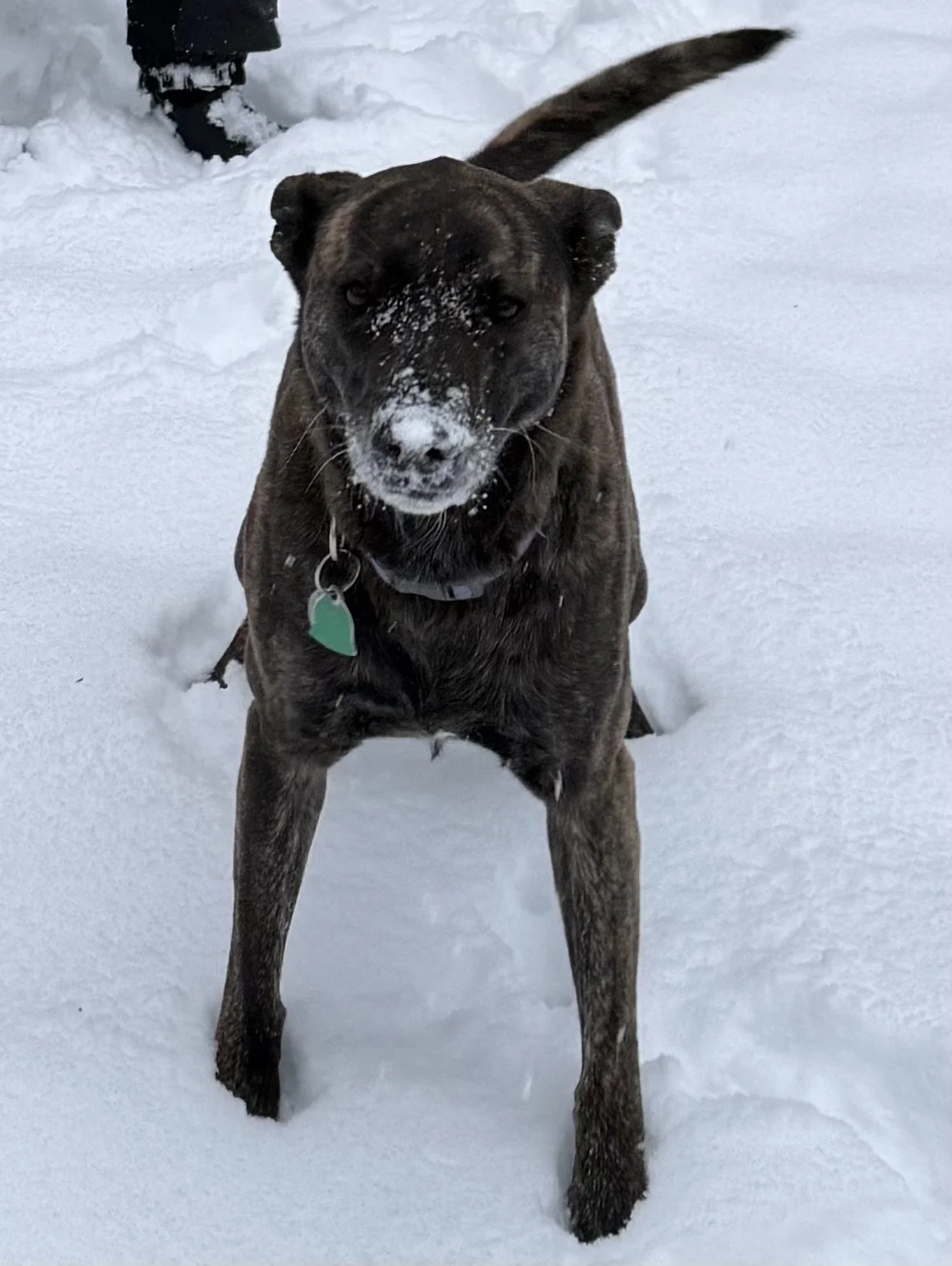 Before You Plan for 2026, Ask These Questions