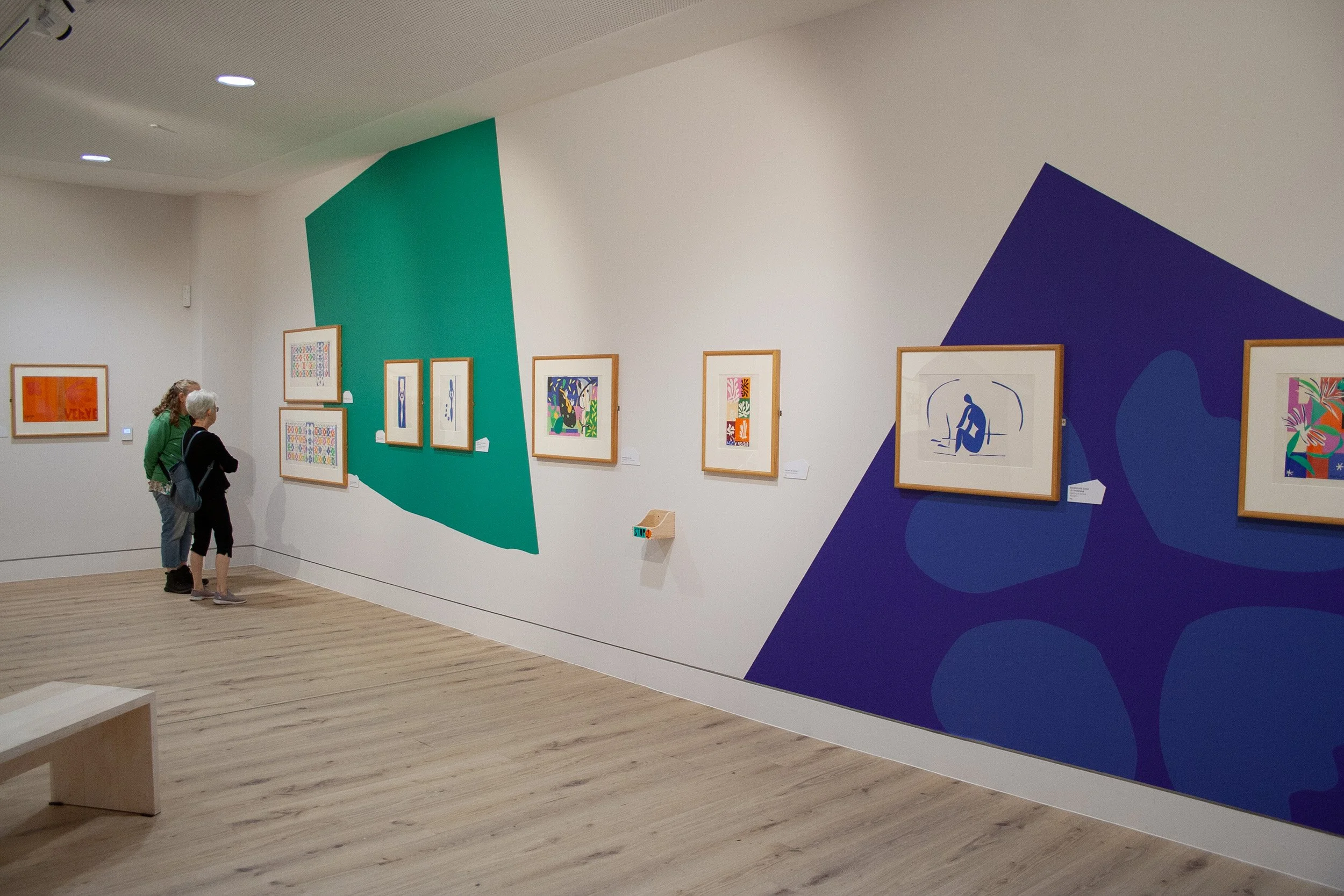 Exhibition design including wall transfers and labels