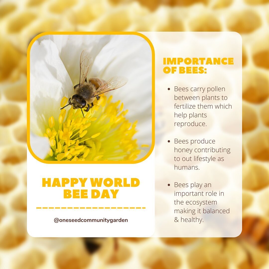 It&rsquo;s World Bee Day!
Swipe through to see some California native plants that the bees just LOVE!
#OneSeedCommunityGarden

.
.
.
.
.
.
#CommunityGarden #Tustin #OldTownTustin #TustinCA #TustinCalifornia #WorldBeeDay #CaliforniaNativePlants #savet