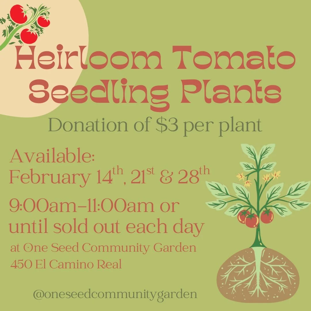 📅 Mark Your Calendars 
It was such a hit last year, we&rsquo;re doing it again!

Heirloom tomatoes 🍅 for a $3 Donation per plant which goes directly into the running &amp; maintenance of One Seed Community Garden. #OneSeedCommunityGarden

.
.
.
.
.