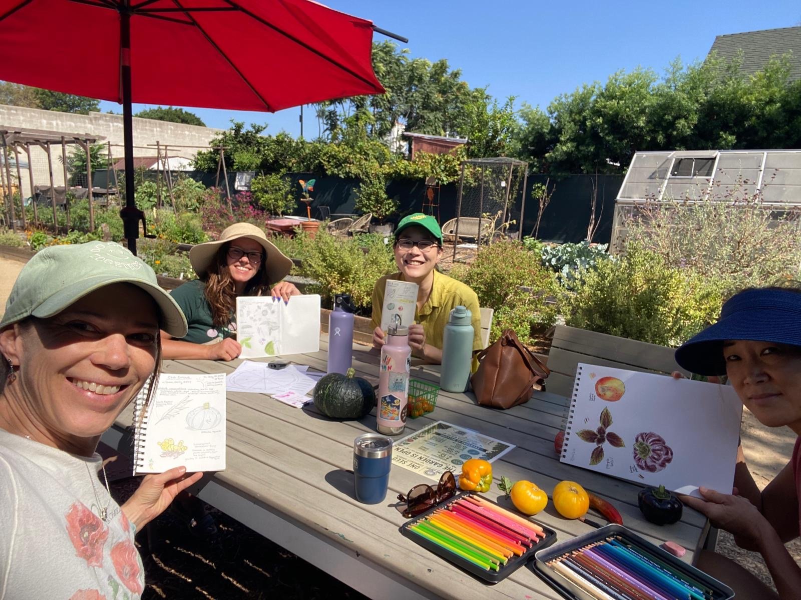 Nature Journaling with Club Curious