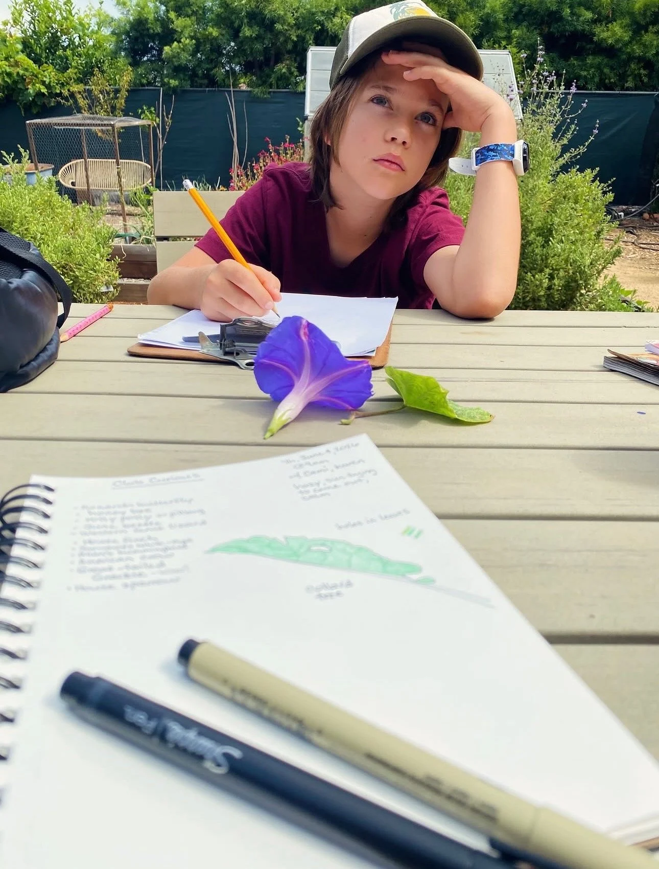 Nature Journaling with Club Curious