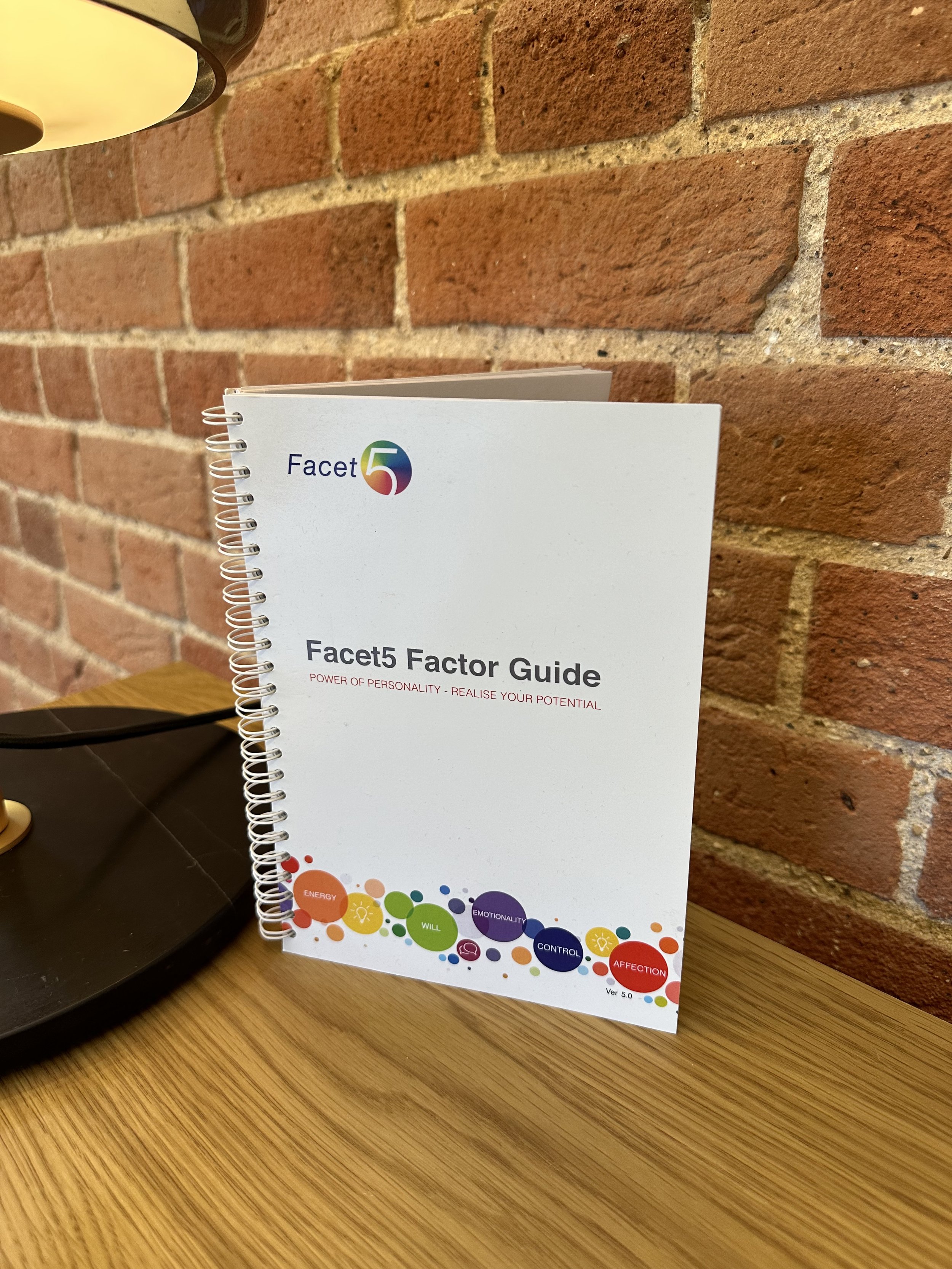 Facet5 Factor Guide