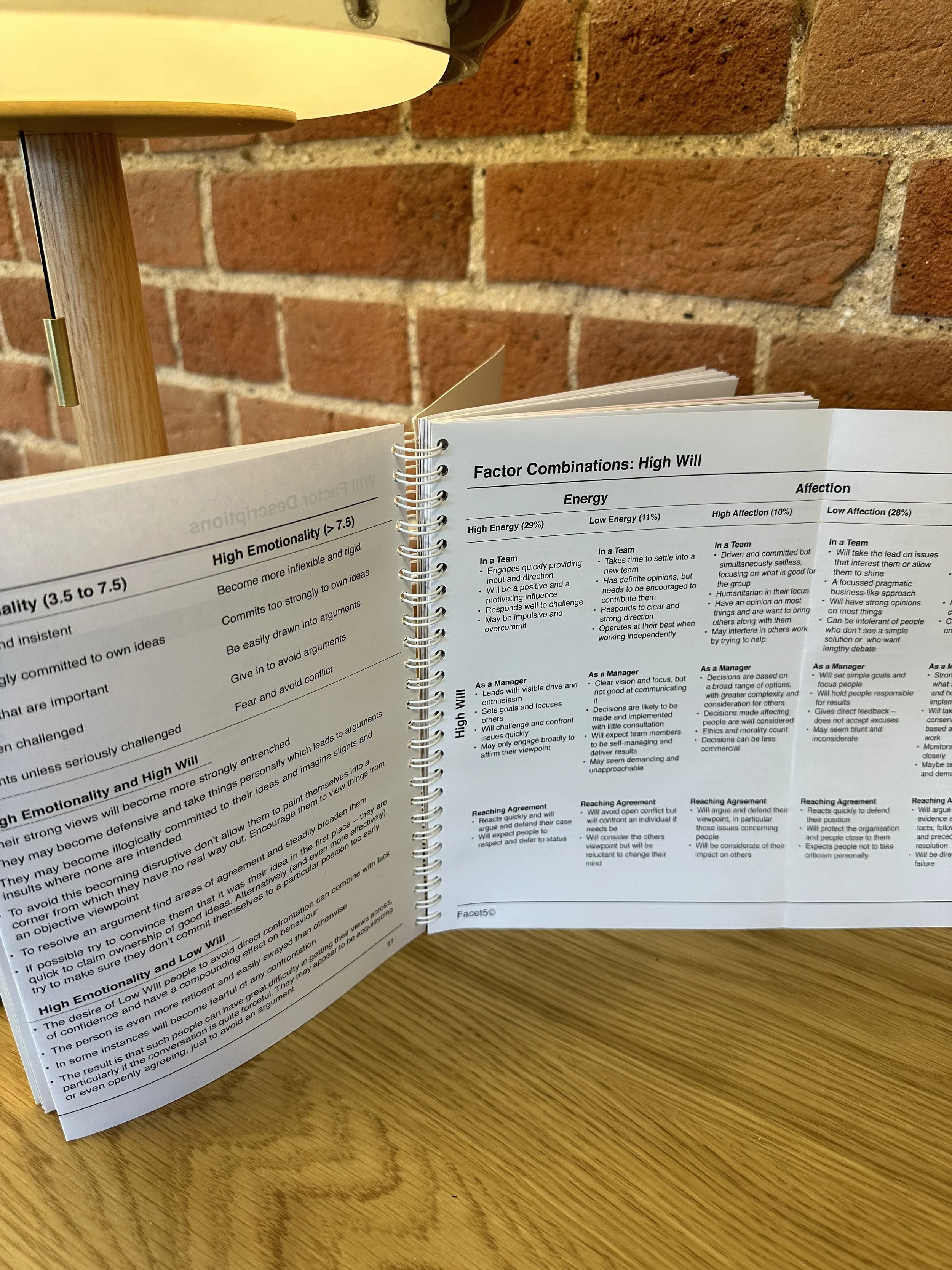 Factor Guide inside 2.jpeg