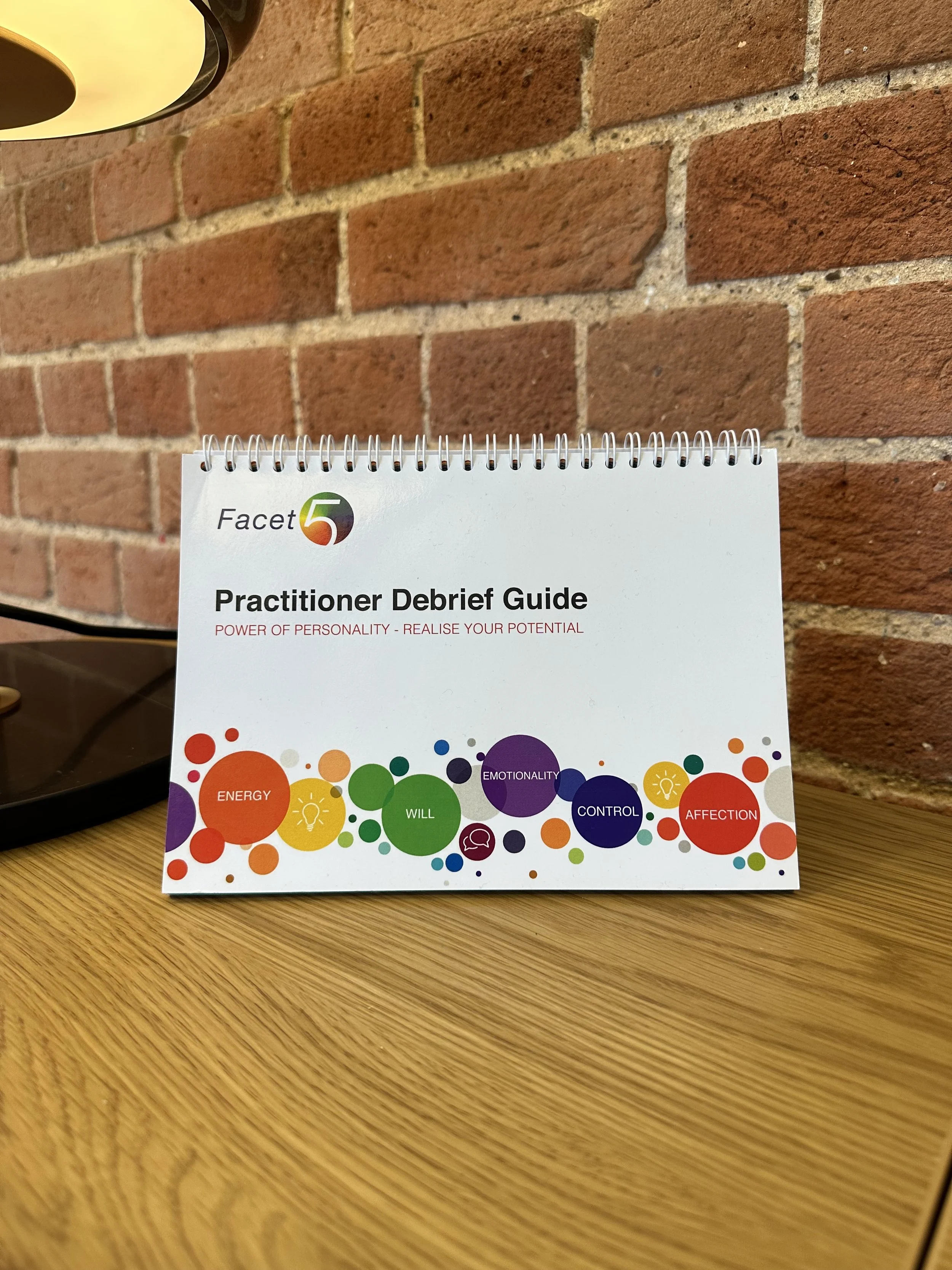 Debrief Desktop guide.jpeg