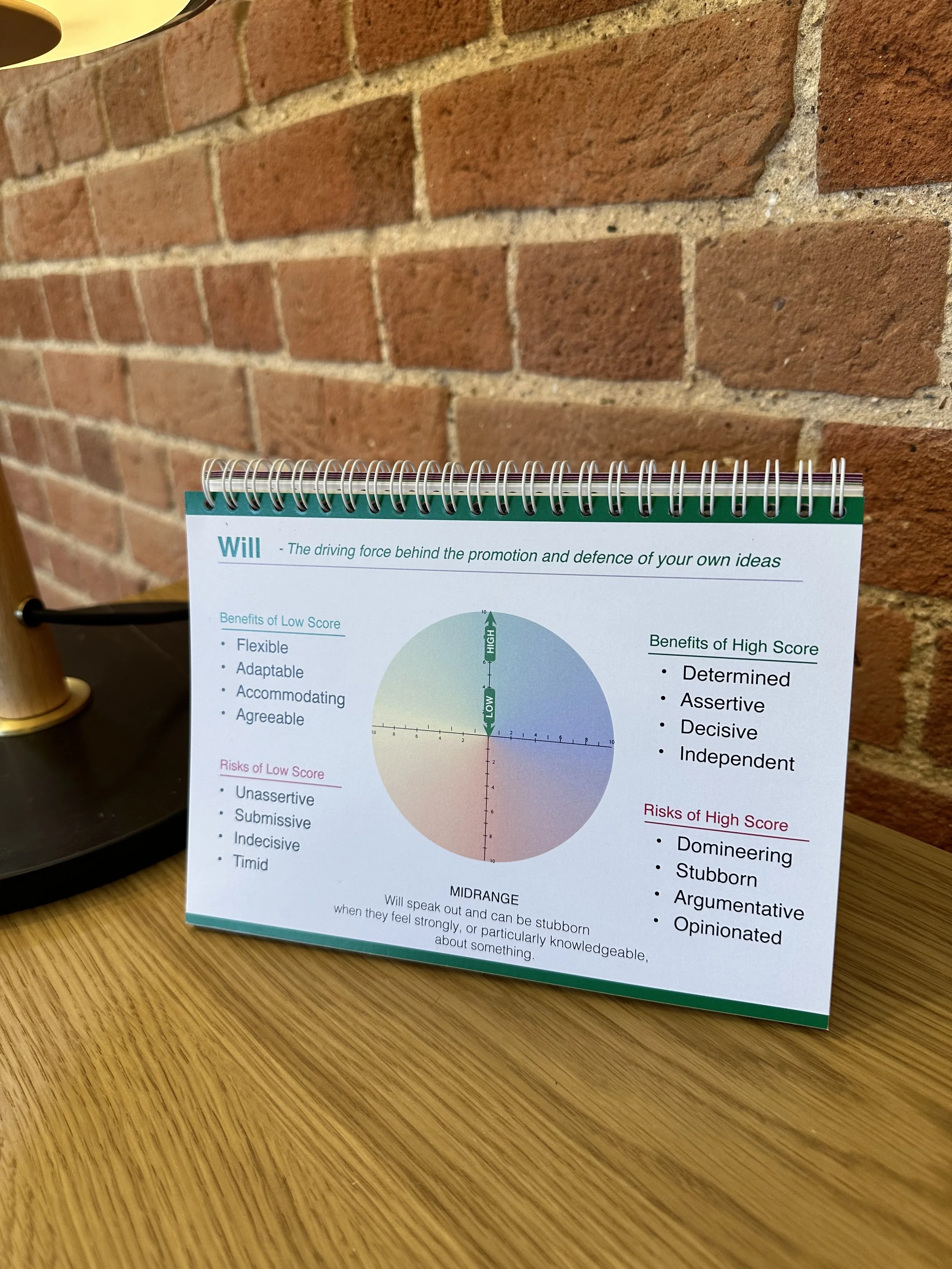 Debrief Desktop guide Will.jpeg