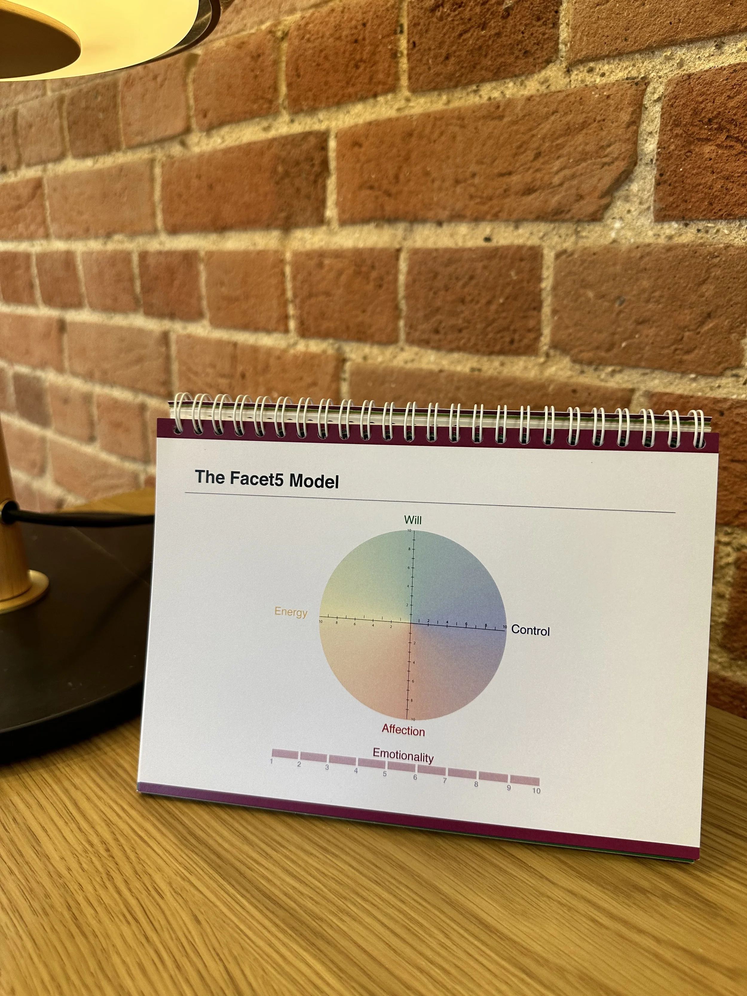 Debrief Desktop guide inside 5.jpeg