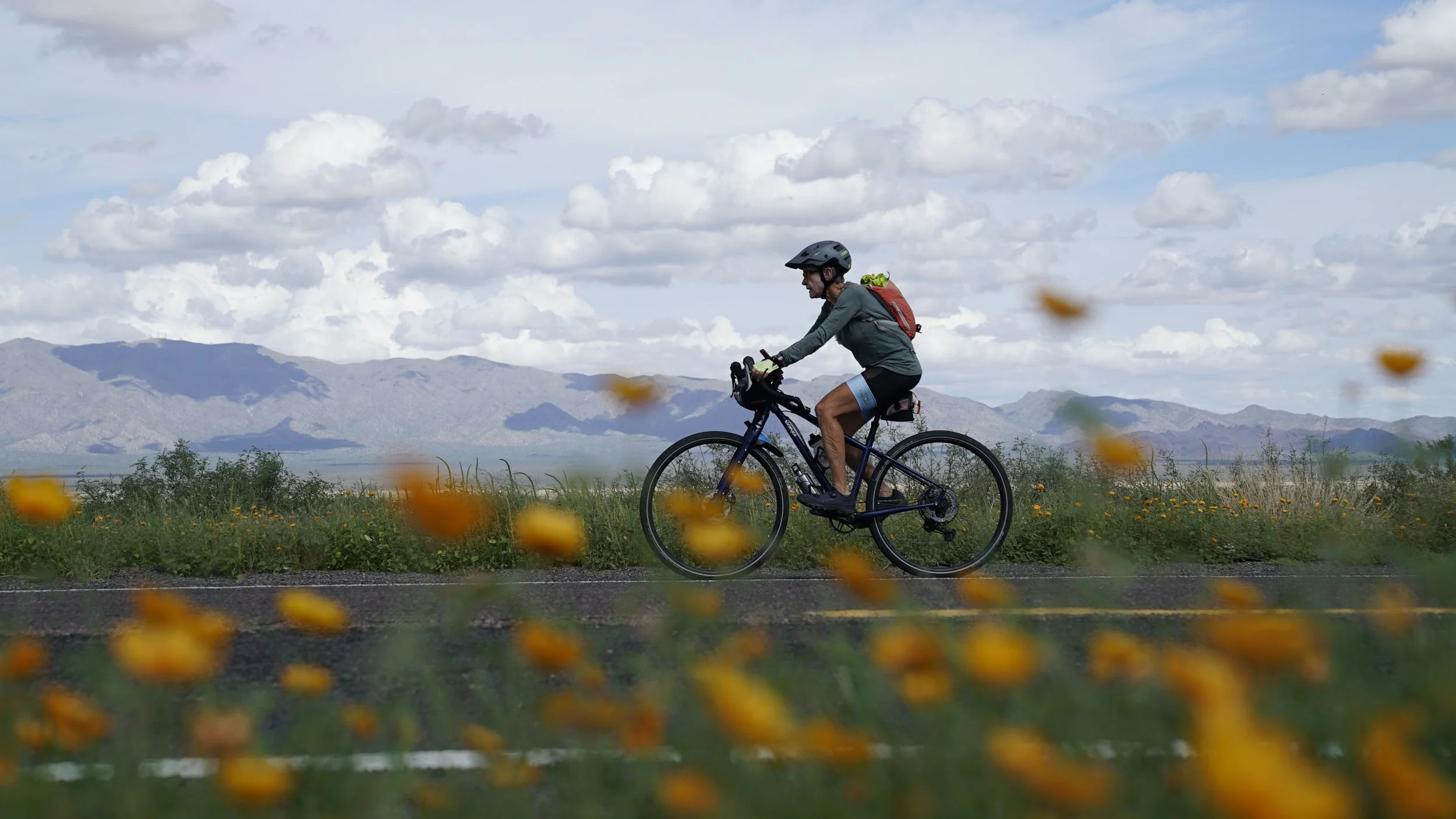 Maggie Starnes rides through desert poppies outside of Salome, Arizona.JPG