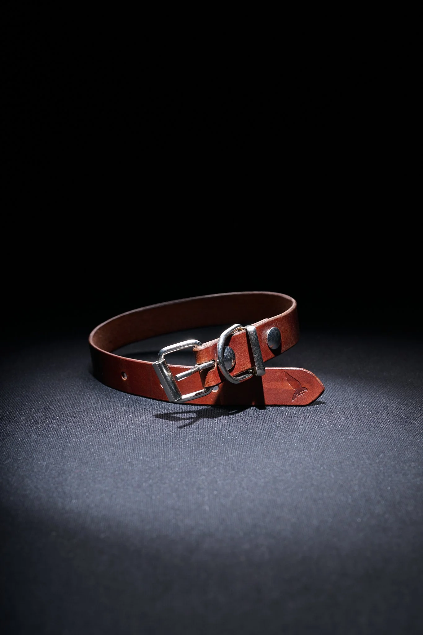 Rustfalcon2026NIKON Z 8_NIKKOR Z 50mm f-1.8 S_0059.jpg