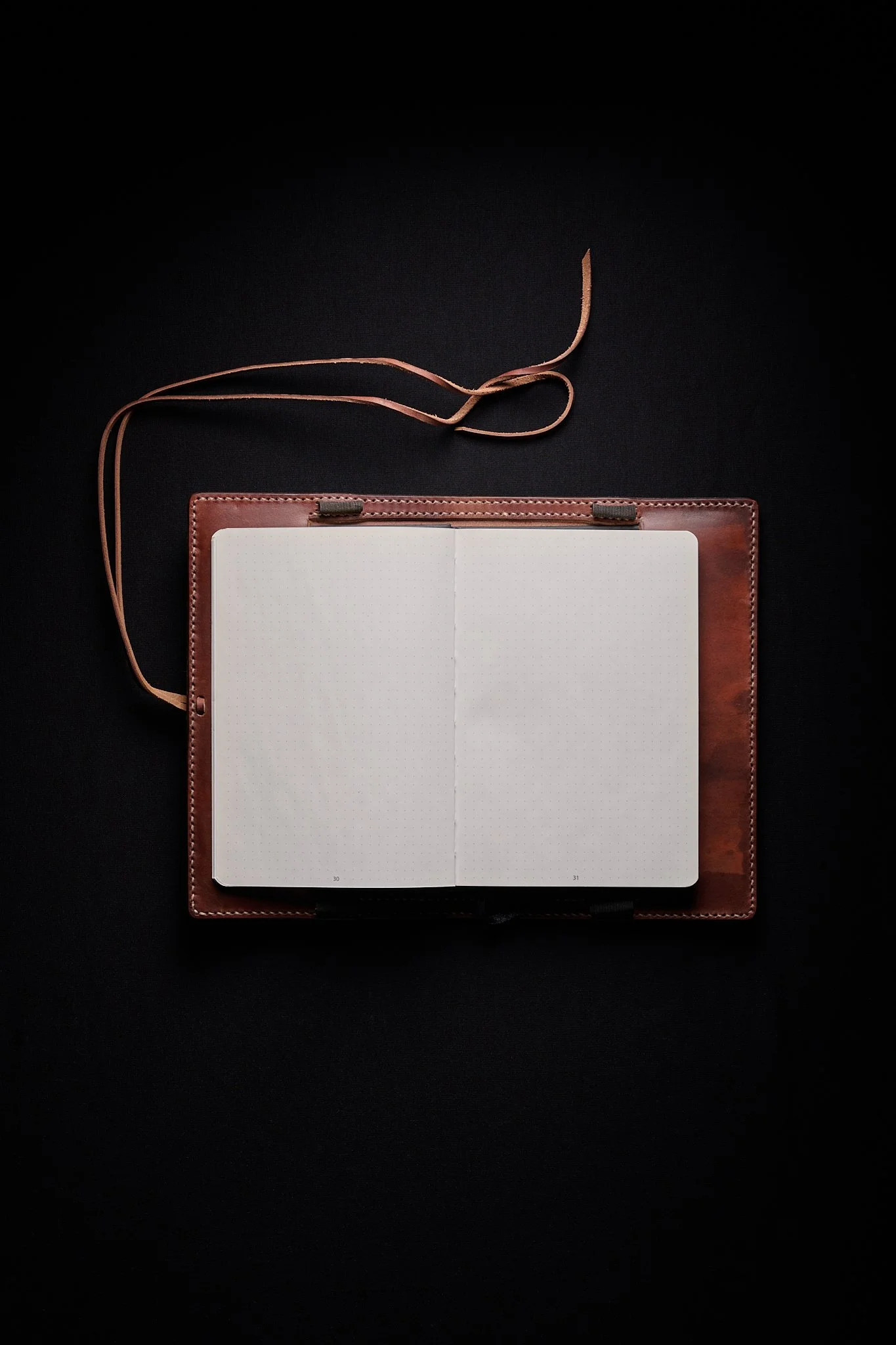 Rustfalcon2026NIKON Z 8_NIKKOR Z 50mm f-1.8 S_0114.jpg