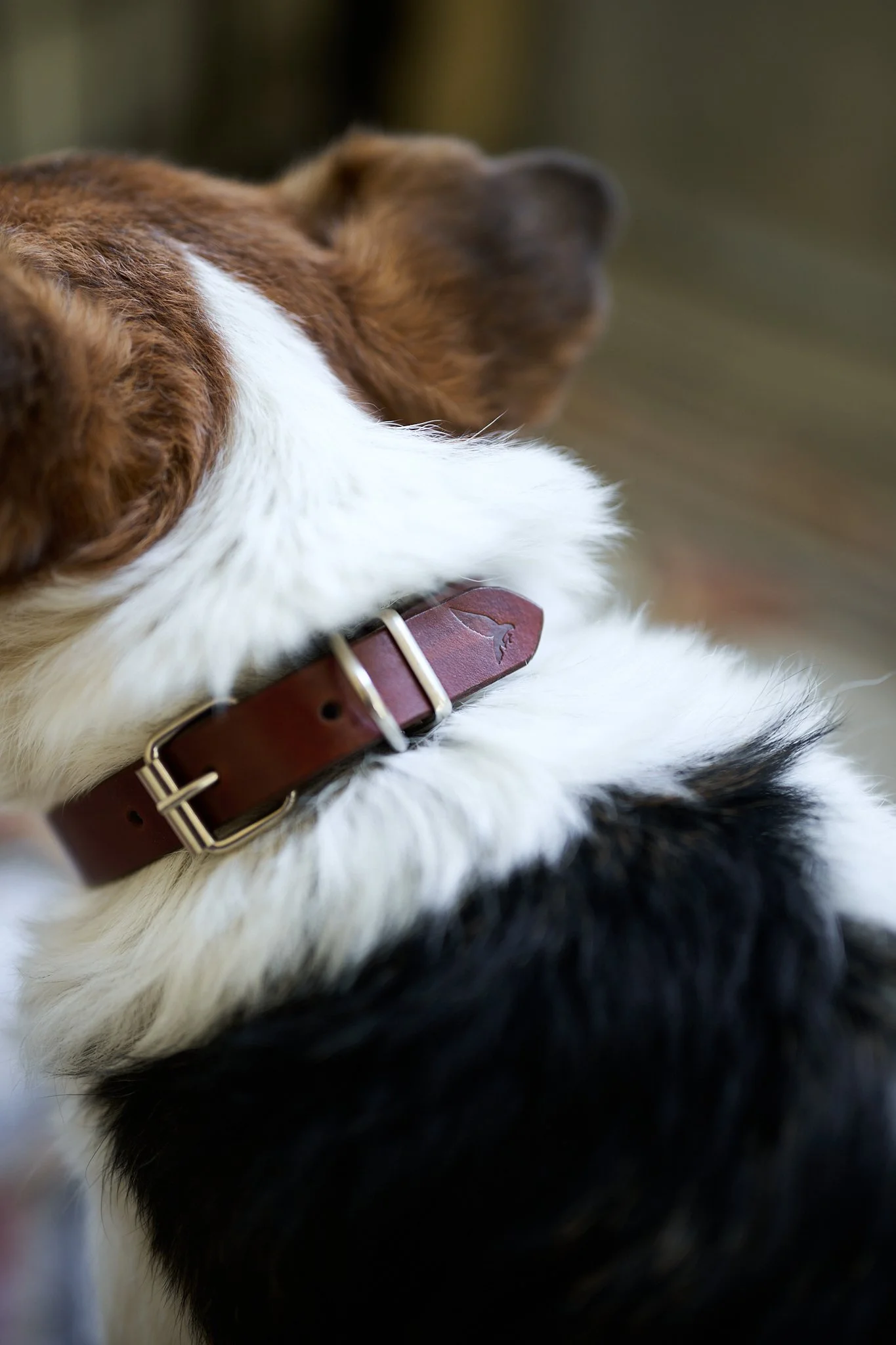 Rustfalcon2026NIKON Z 8_NIKKOR Z 50mm f-1.8 S_0026.jpg