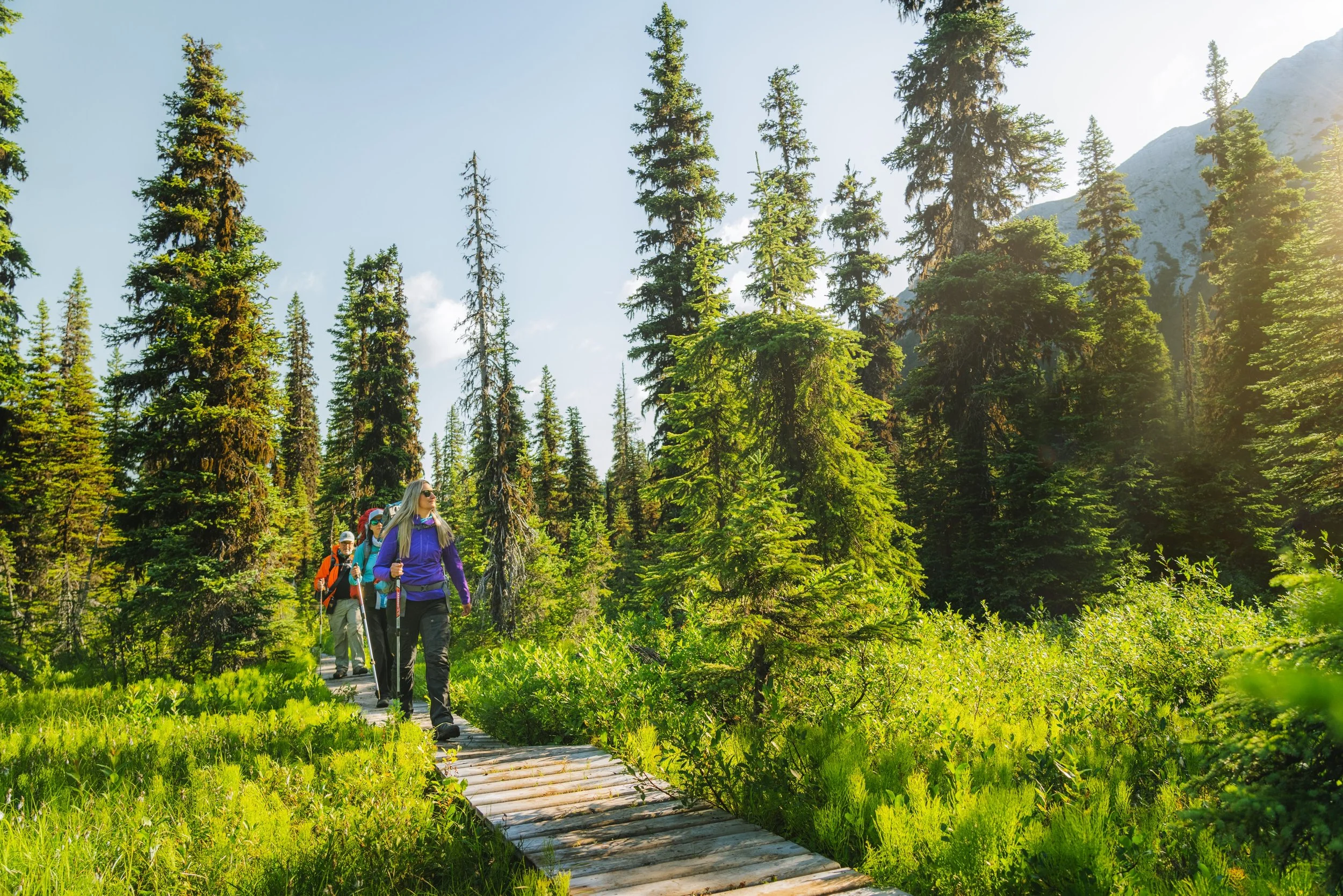 A boardwalk on the trail to Windfall Lake.