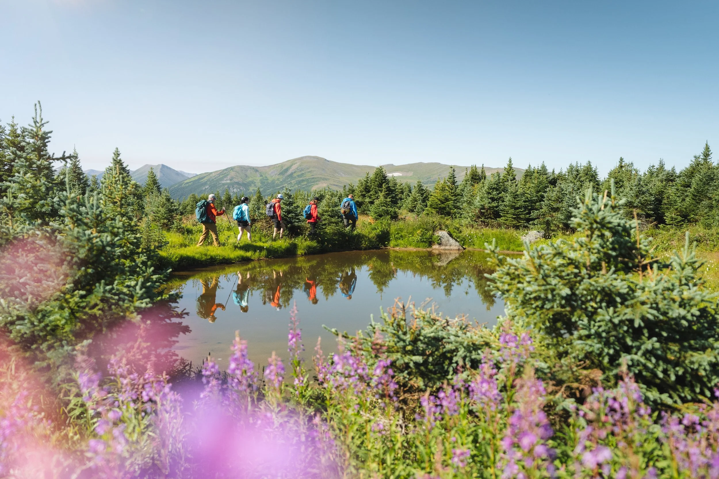 Contact Us — Visit Tumbler Ridge