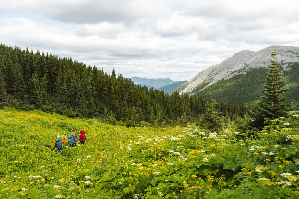 Windfall Lake — Visit Tumbler Ridge