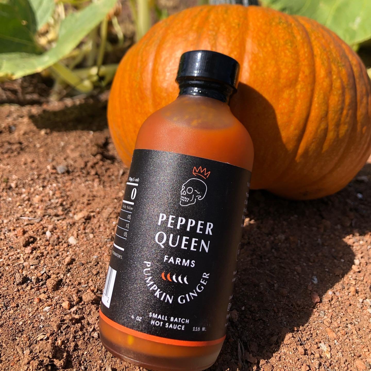 Back in stock! A limited seasonal batch. All Organic Ingredients. Peppers &amp; Pumpkins grown by yours truly. Other ingredients Locally Sourced. Now available on PepperQueen.com
&bull;
&bull;
&bull;
#organic #hotsauce #pumpkin #ginger #artisanmade #