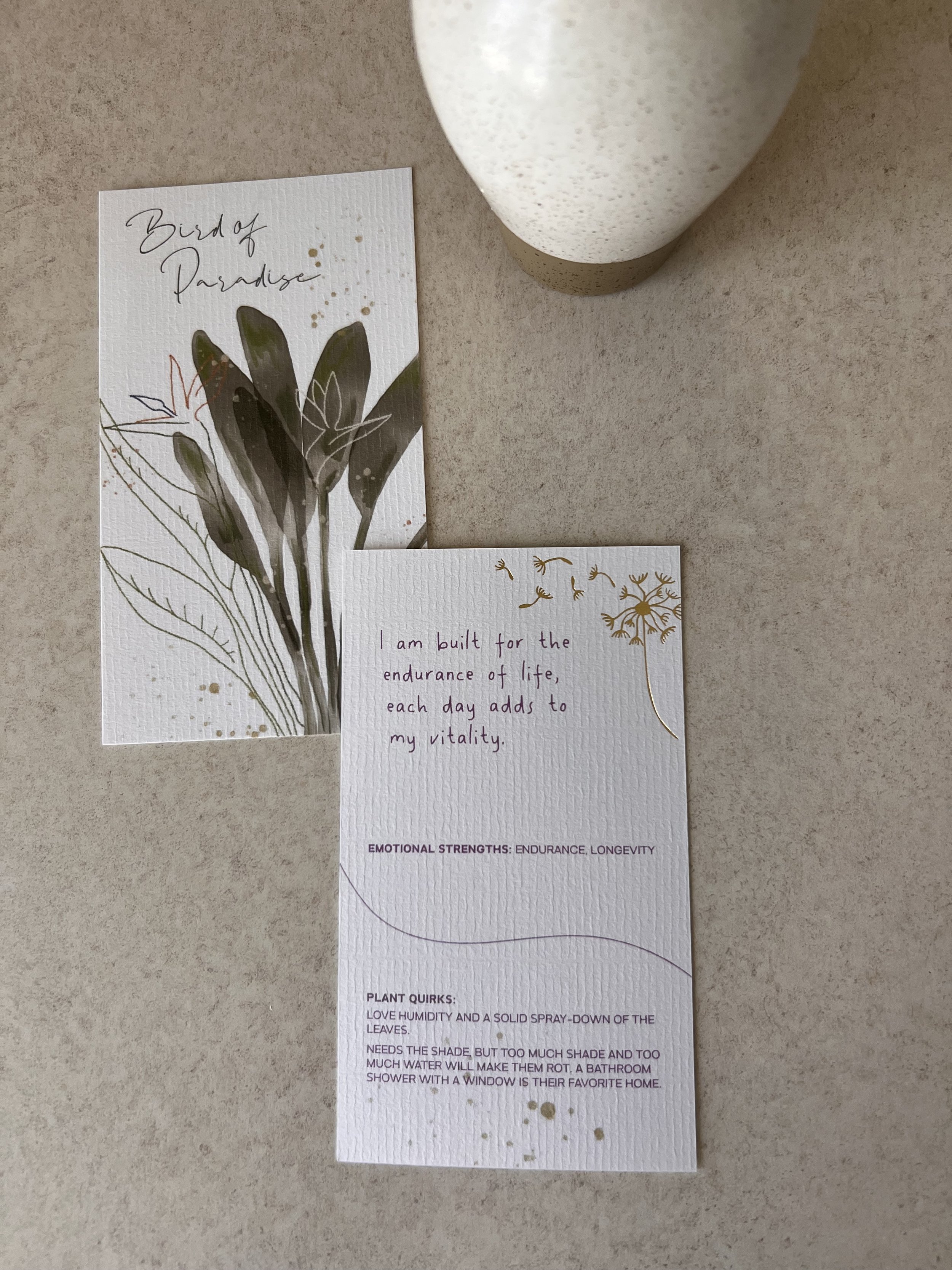 Detail Card.jpg