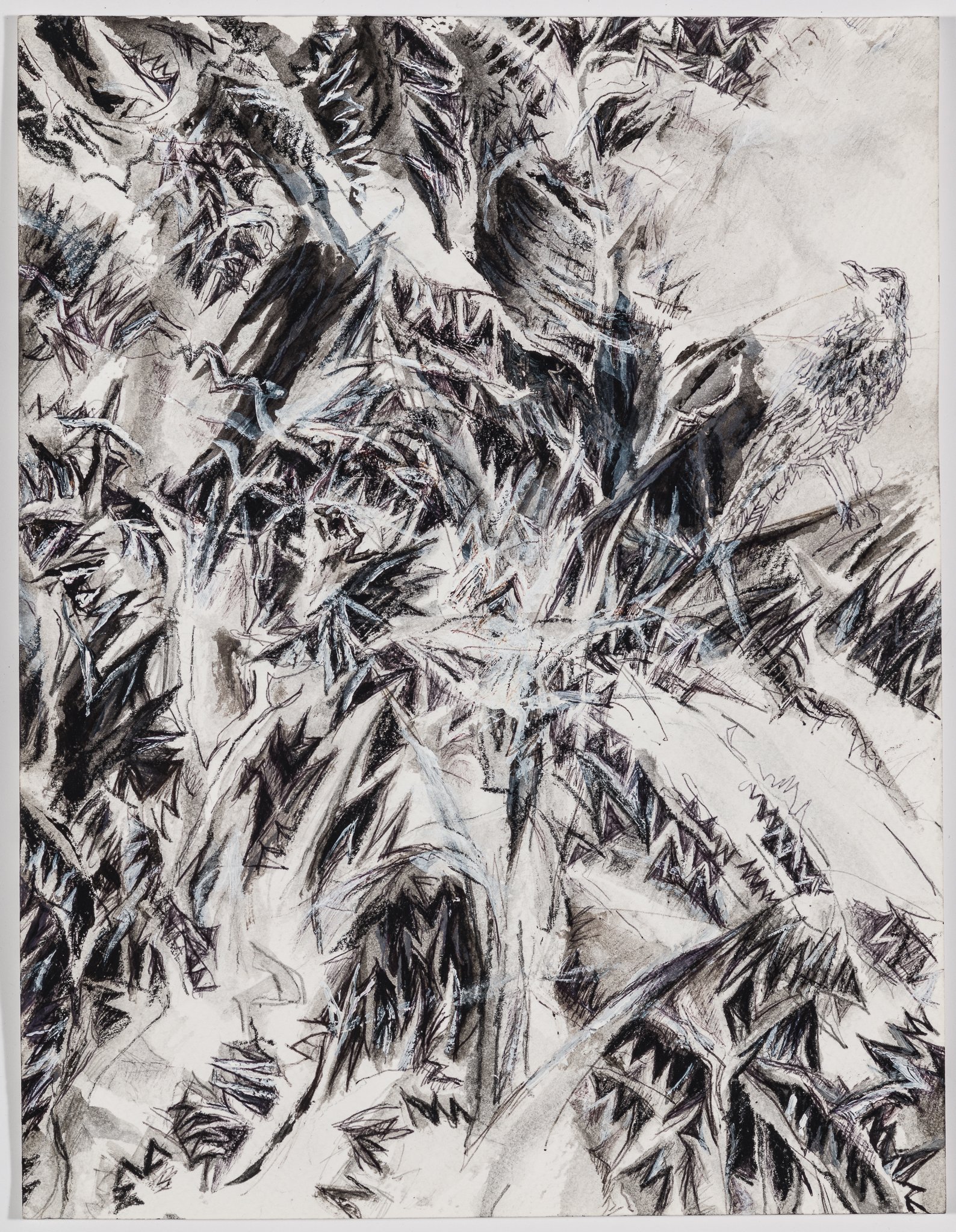 Between Ambiguous Loss and Tenuous Hope, No. 6